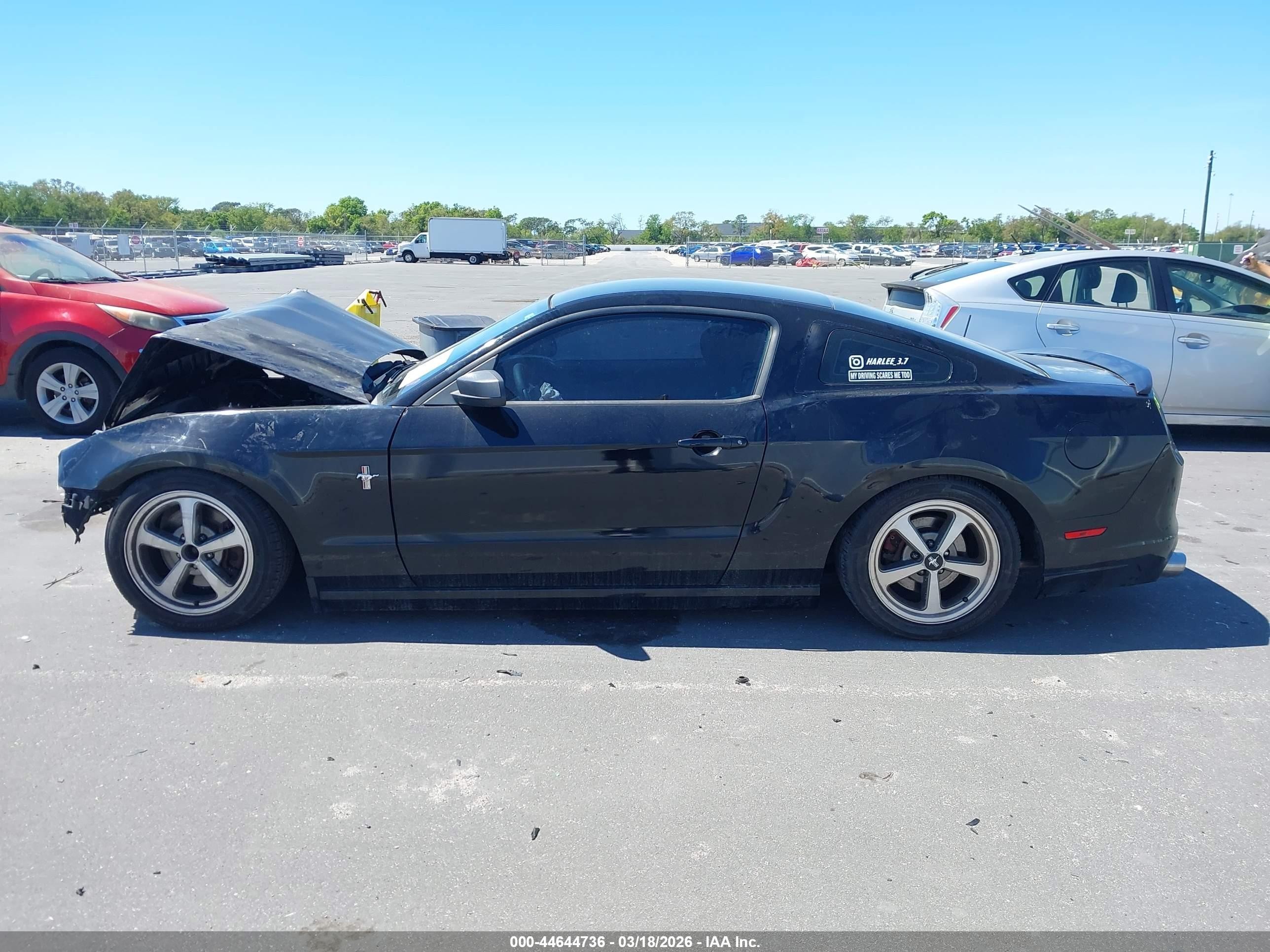 2014 Ford Mustang V6 Black vin: 1ZVBP8AM8E5334076