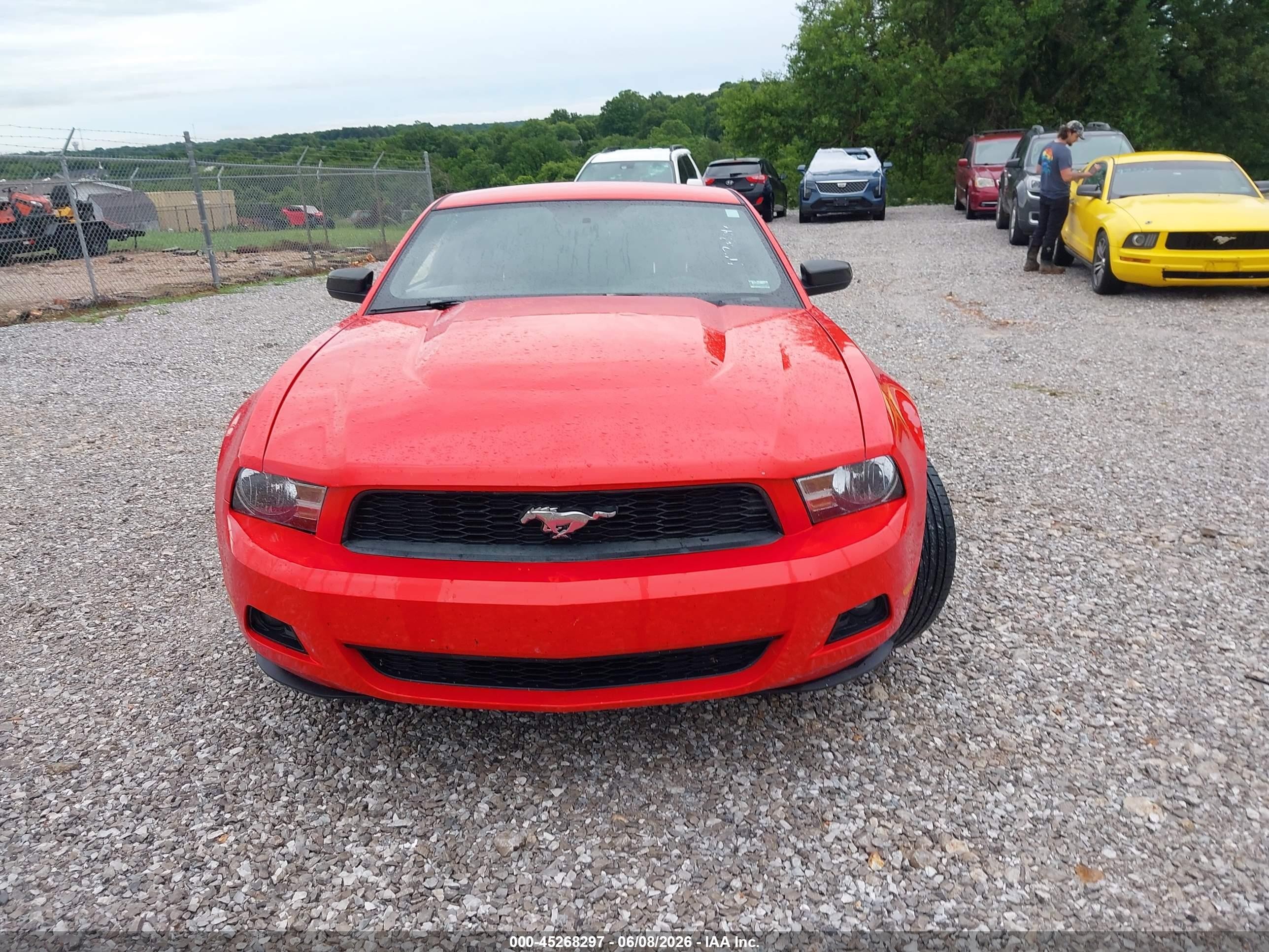 2012 Ford Mustang V6 Premium Красный vin: 1ZVBP8AM9C5209701