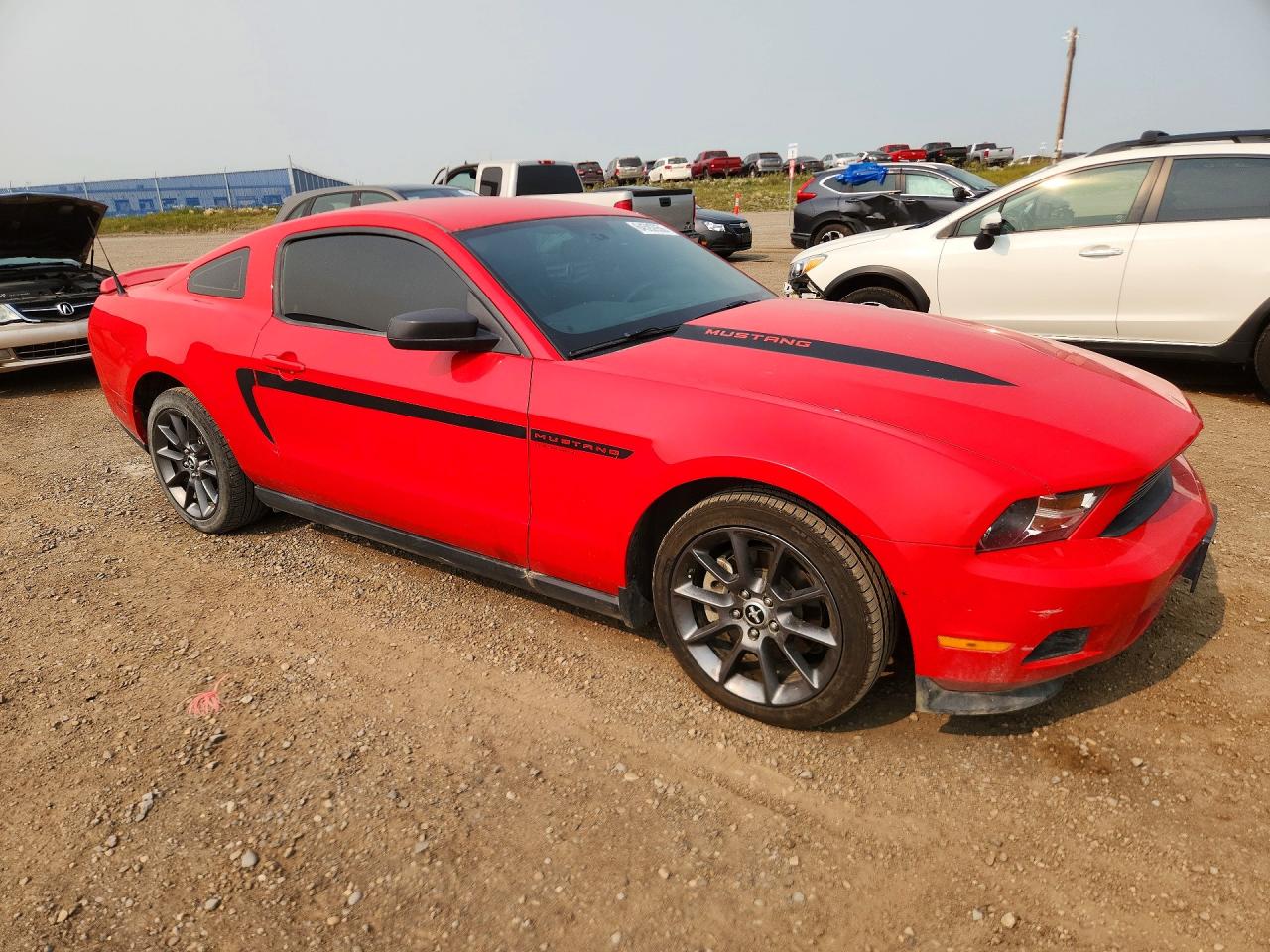 2012 Ford Mustang Красный vin: 1ZVBP8AM9C5211769