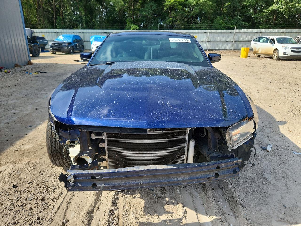 2012 Ford Mustang Blue vin: 1ZVBP8AM9C5226255