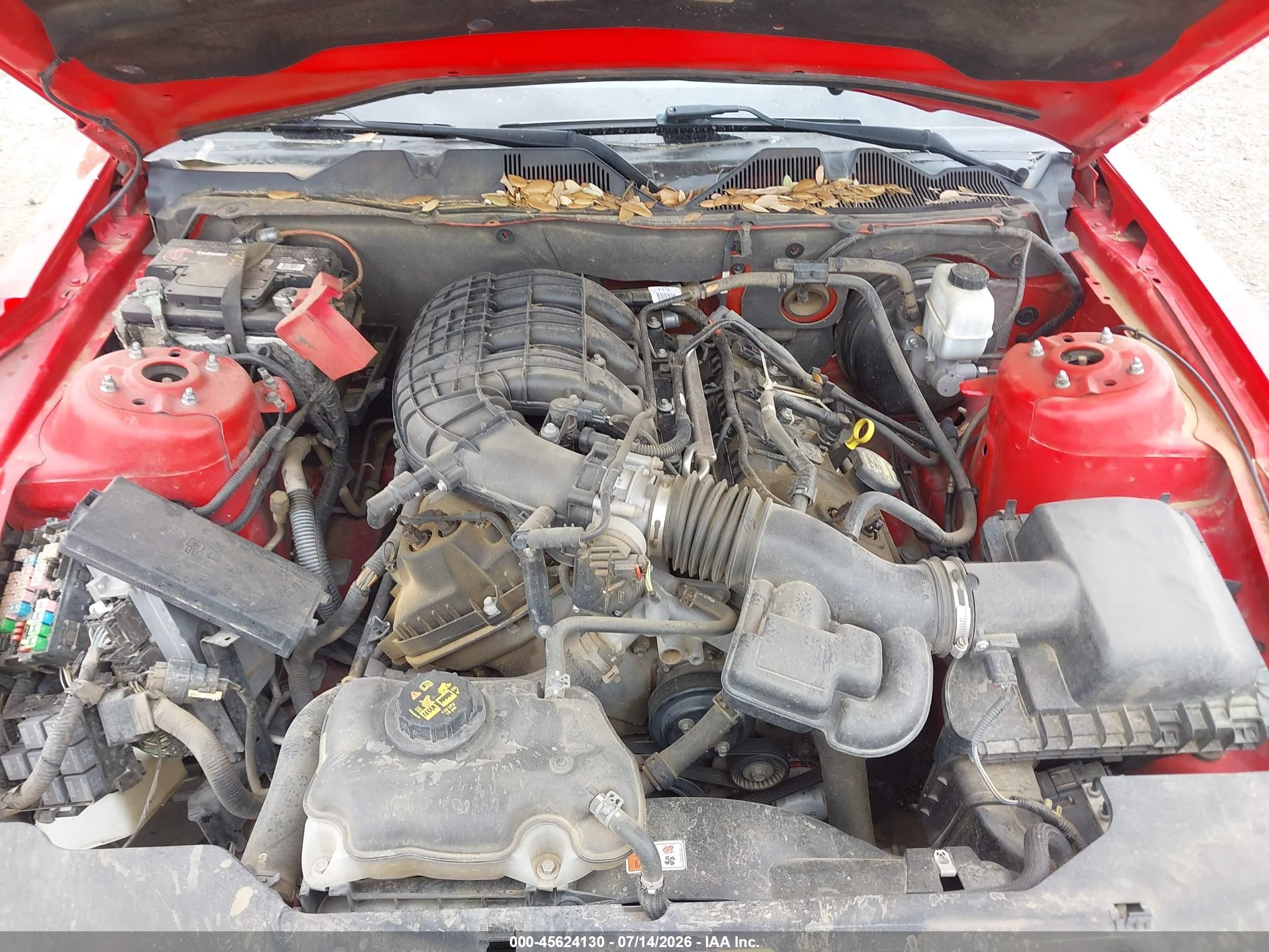 2012 Ford Mustang V6 Premium Red vin: 1ZVBP8AM9C5226515