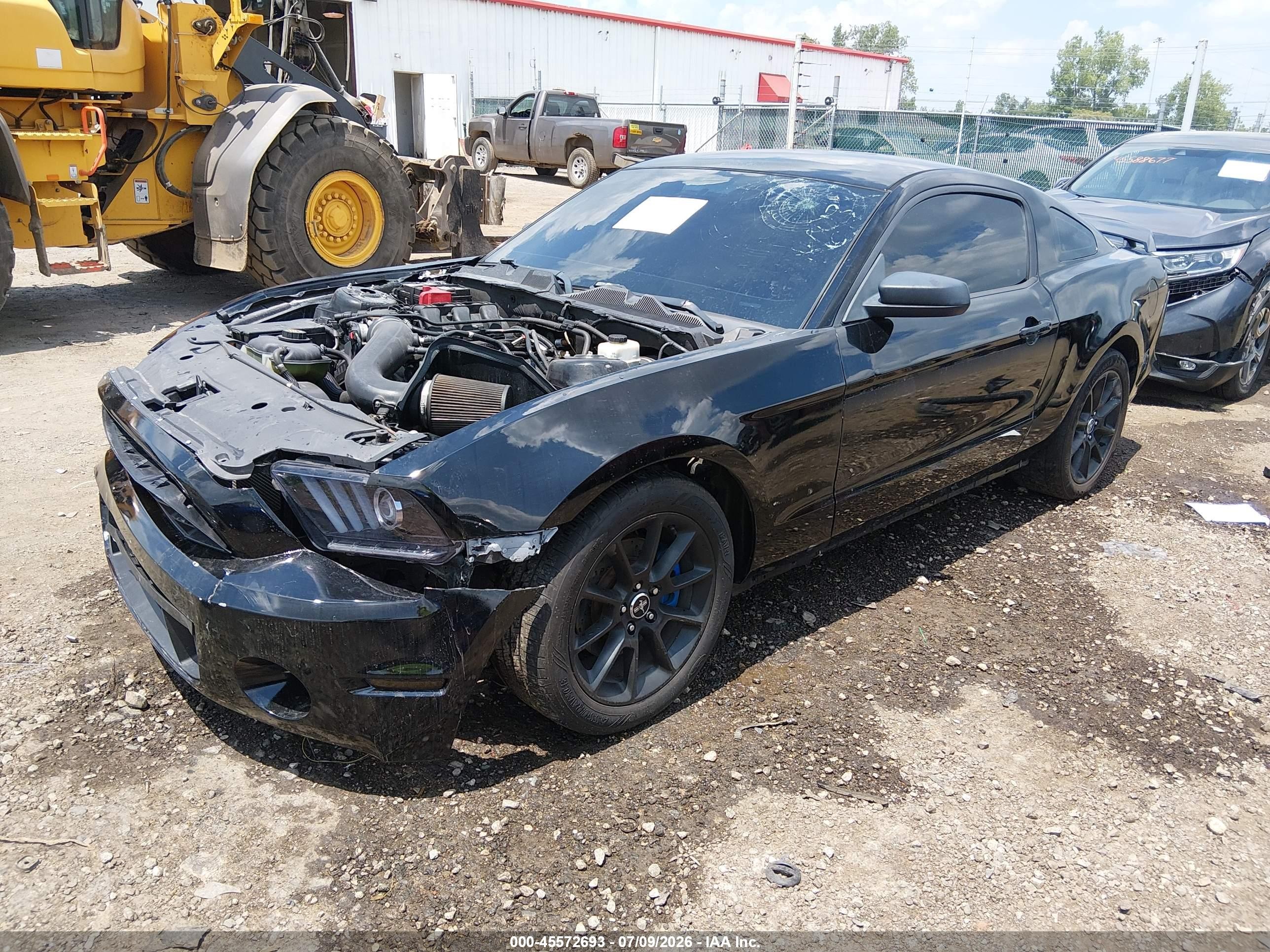 2012 Ford Mustang V6 Premium Black vin: 1ZVBP8AM9C5244643