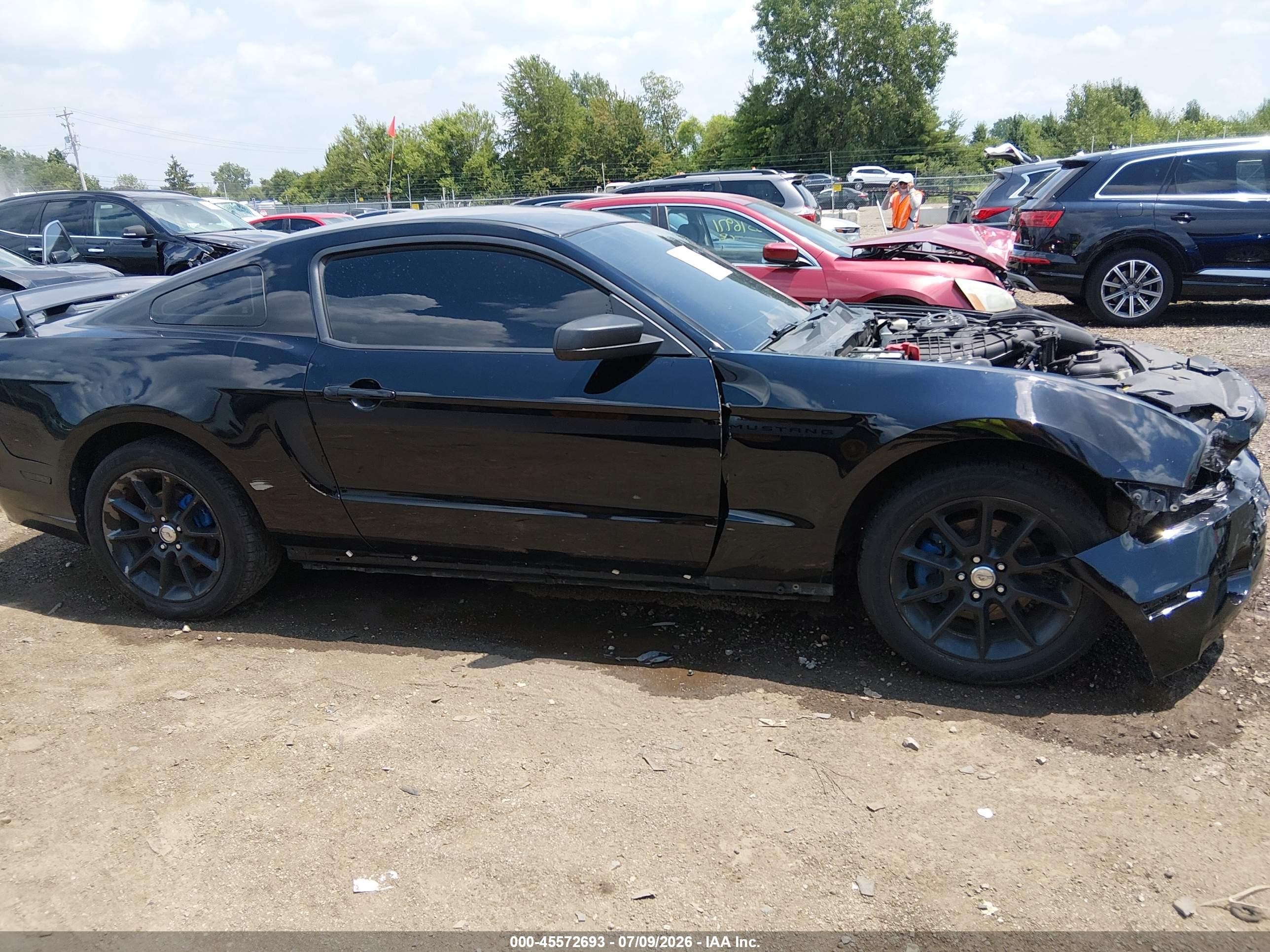 2012 Ford Mustang V6 Premium Black vin: 1ZVBP8AM9C5244643