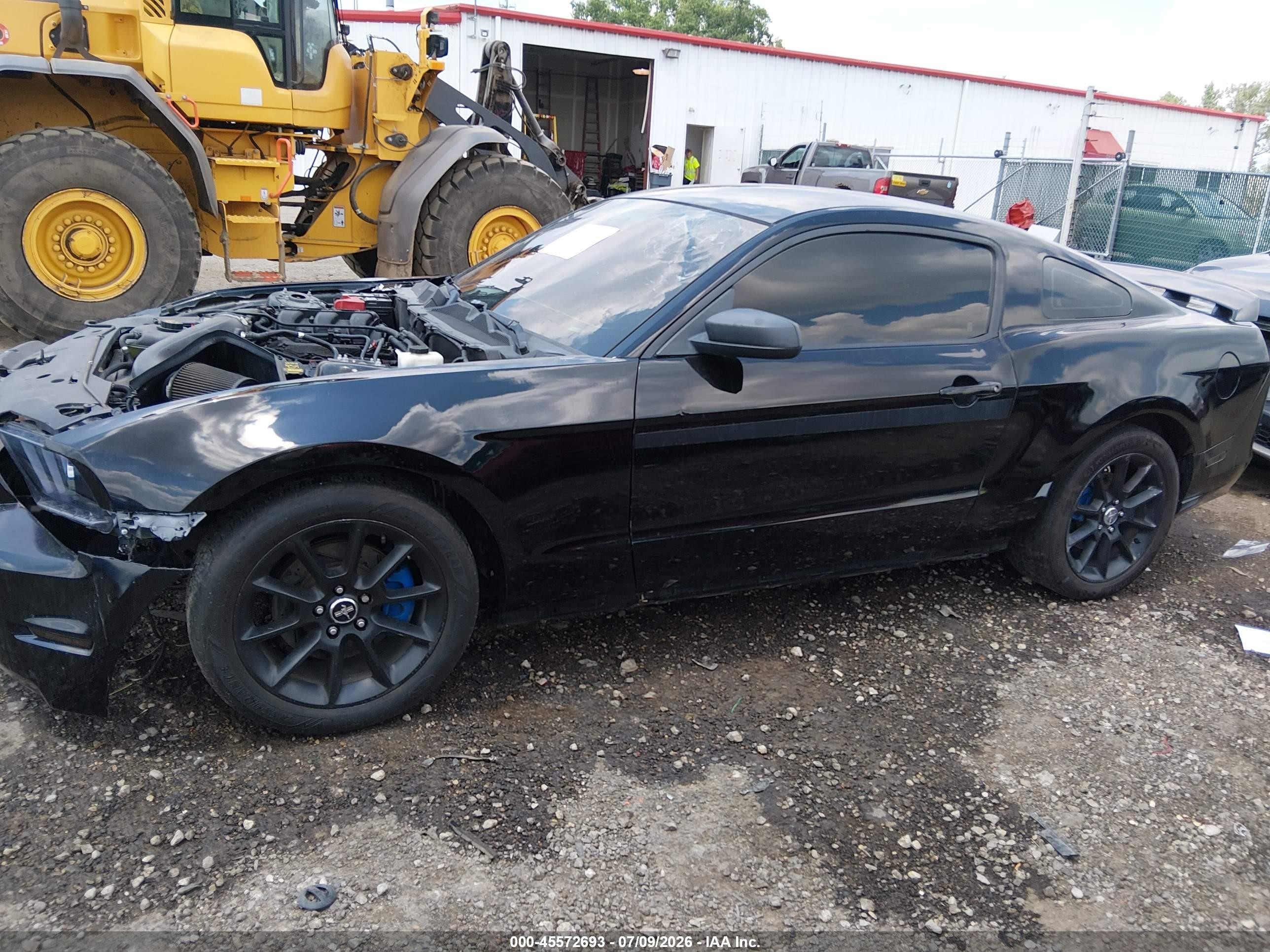 2012 Ford Mustang V6 Premium Black vin: 1ZVBP8AM9C5244643