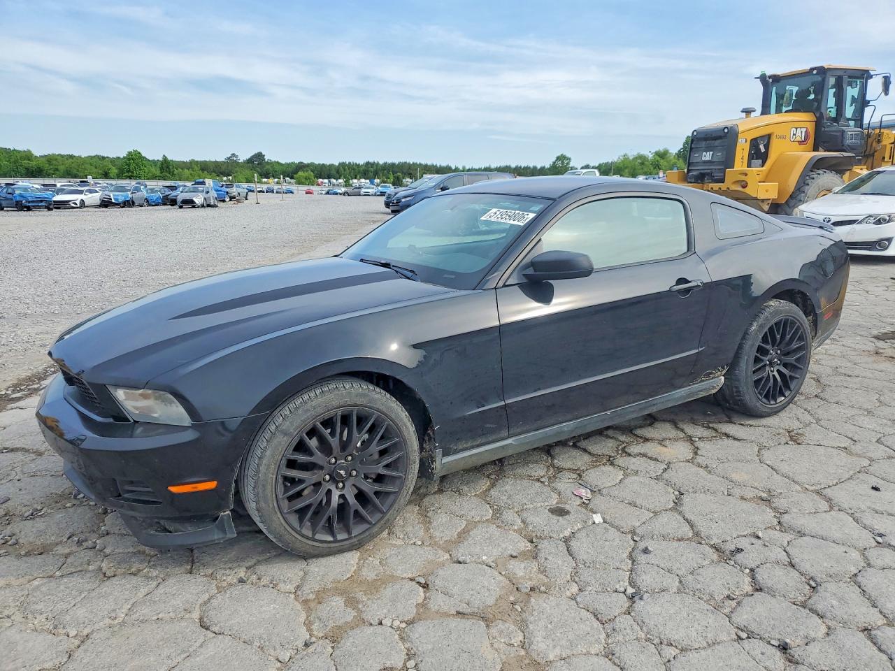 2012 Ford Mustang Black vin: 1ZVBP8AM9C5253908