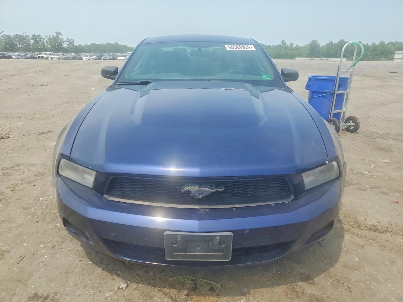 2012 Ford Mustang Blue vin: 1ZVBP8AM9C5255688