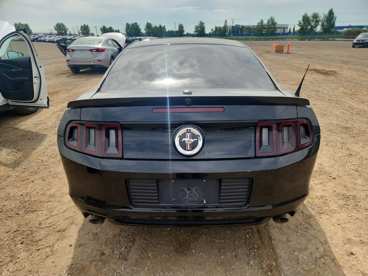 2013 Ford Mustang Black vin: 1ZVBP8AM9D5214804