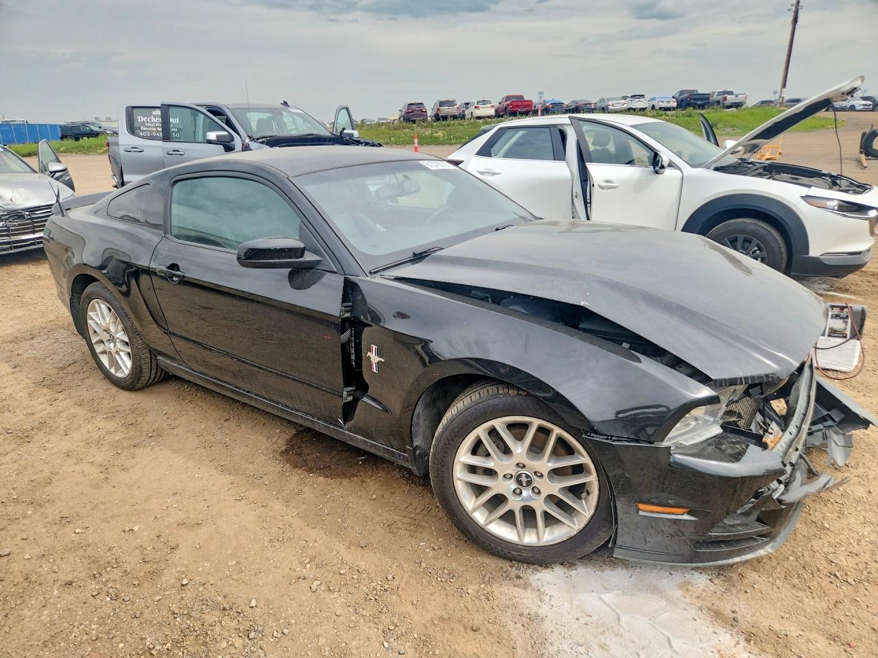 2013 Ford Mustang Black vin: 1ZVBP8AM9D5214804