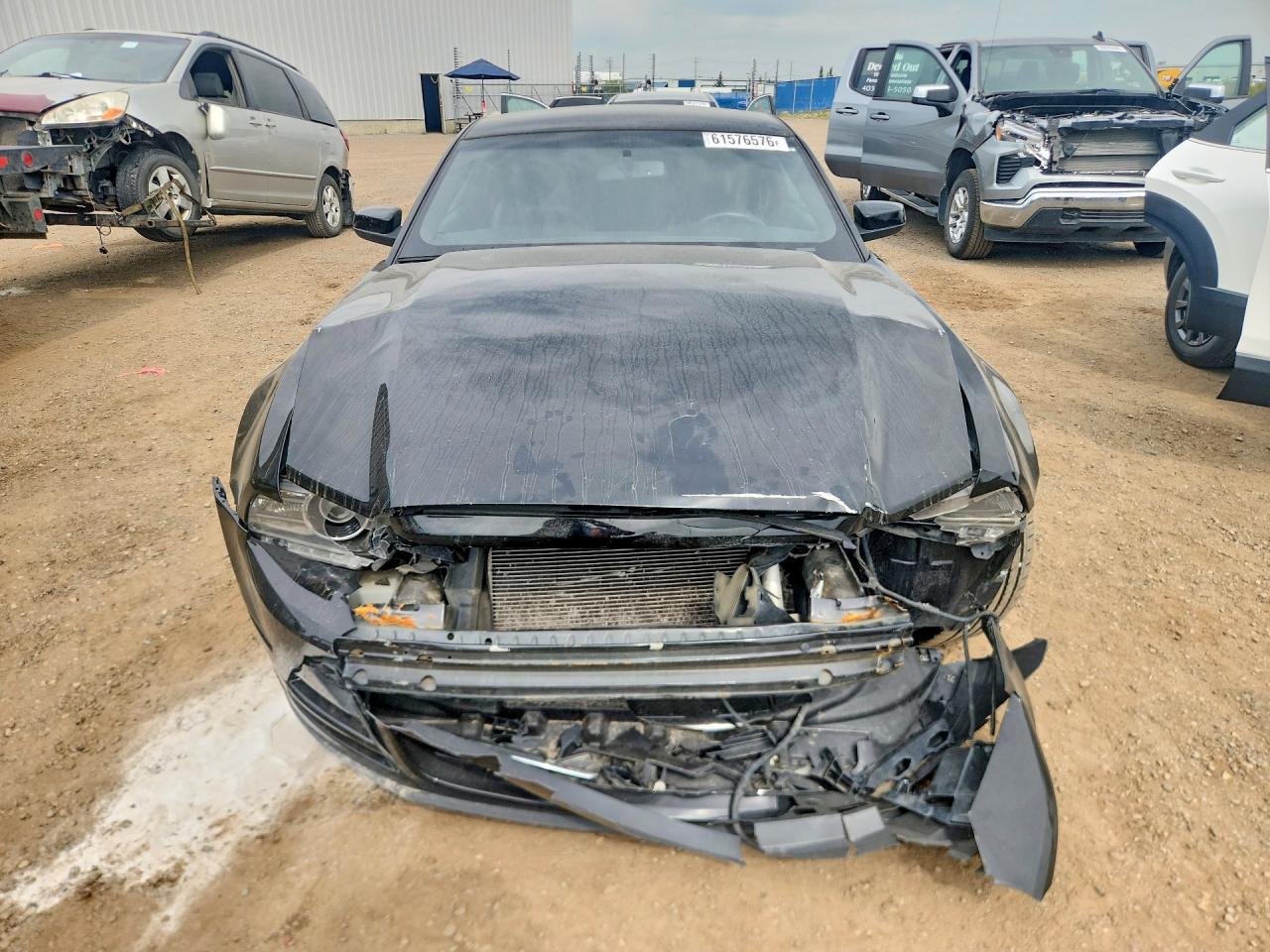 2013 Ford Mustang Black vin: 1ZVBP8AM9D5214804