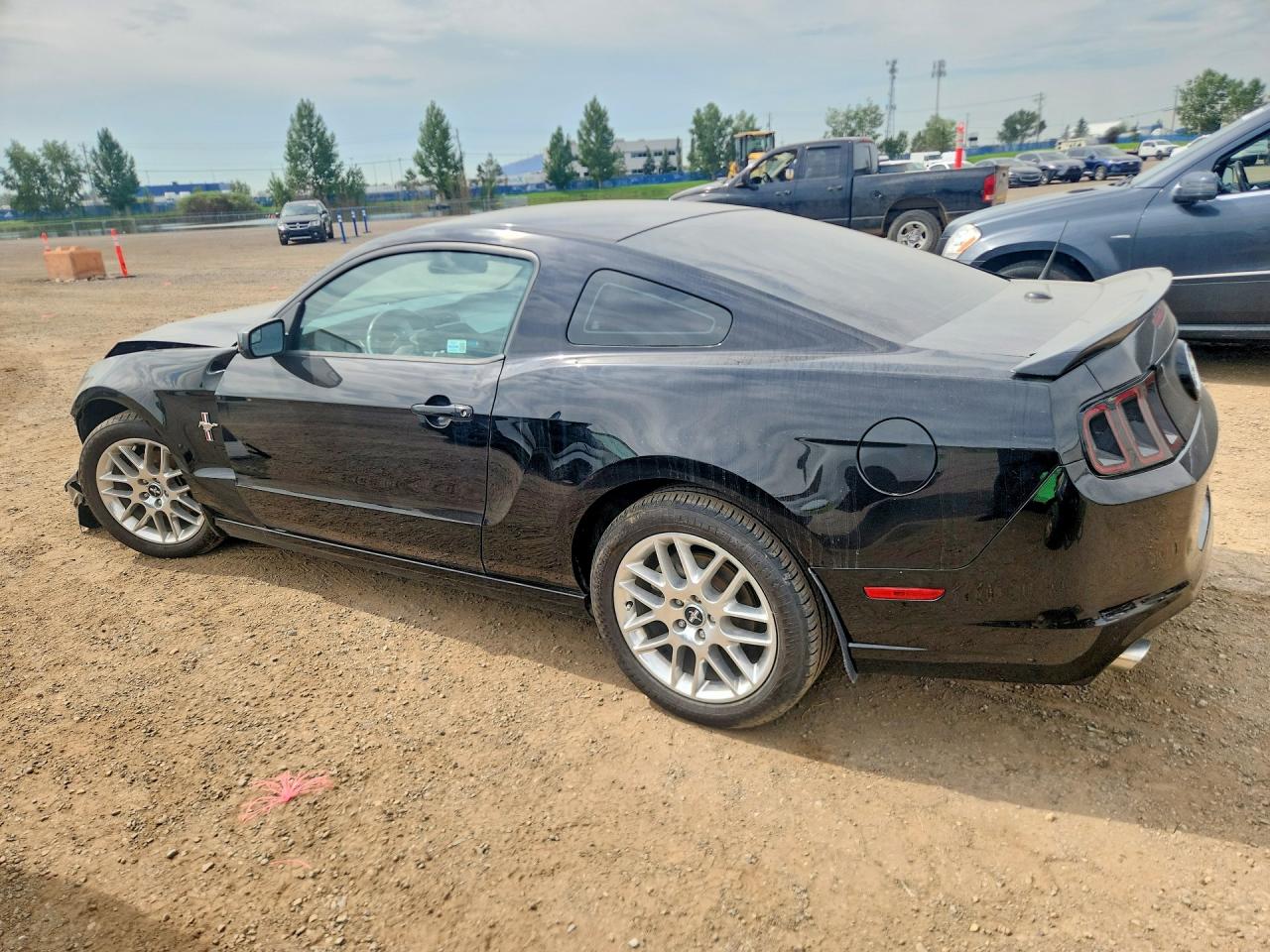 2013 Ford Mustang Black vin: 1ZVBP8AM9D5214804