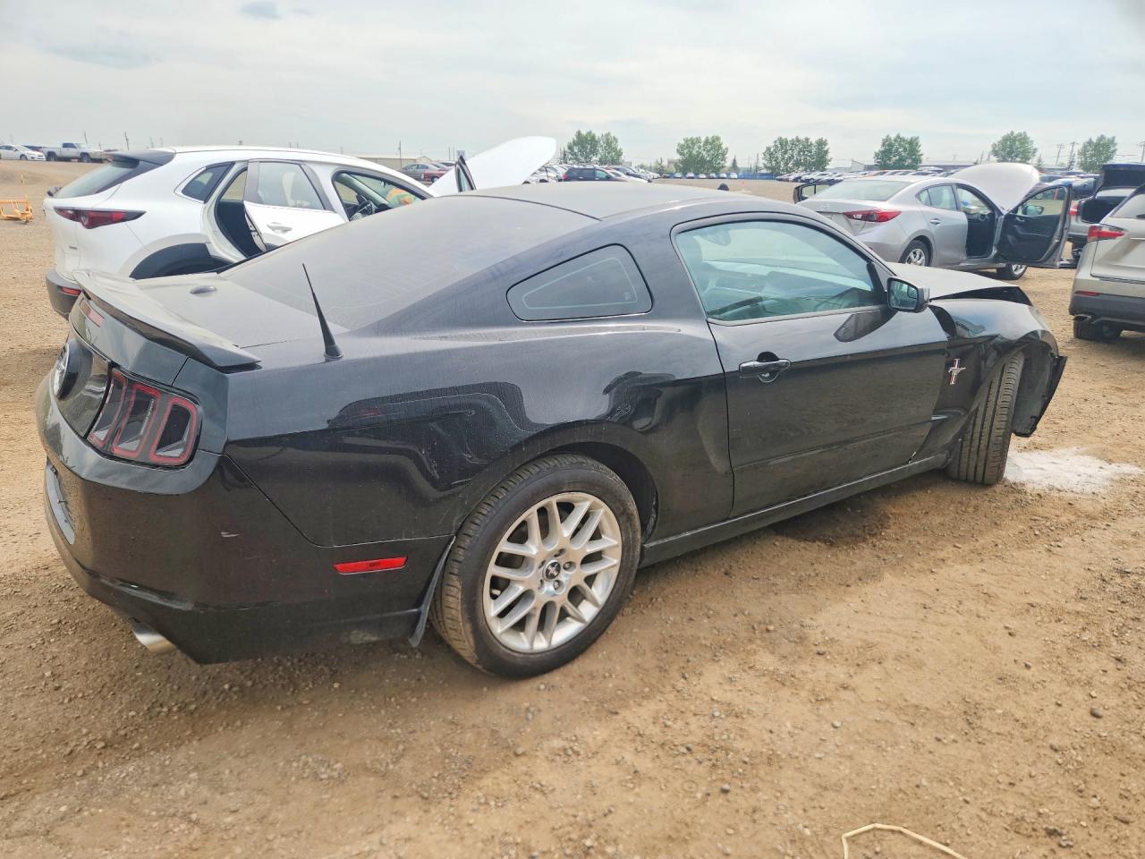 2013 Ford Mustang Black vin: 1ZVBP8AM9D5214804