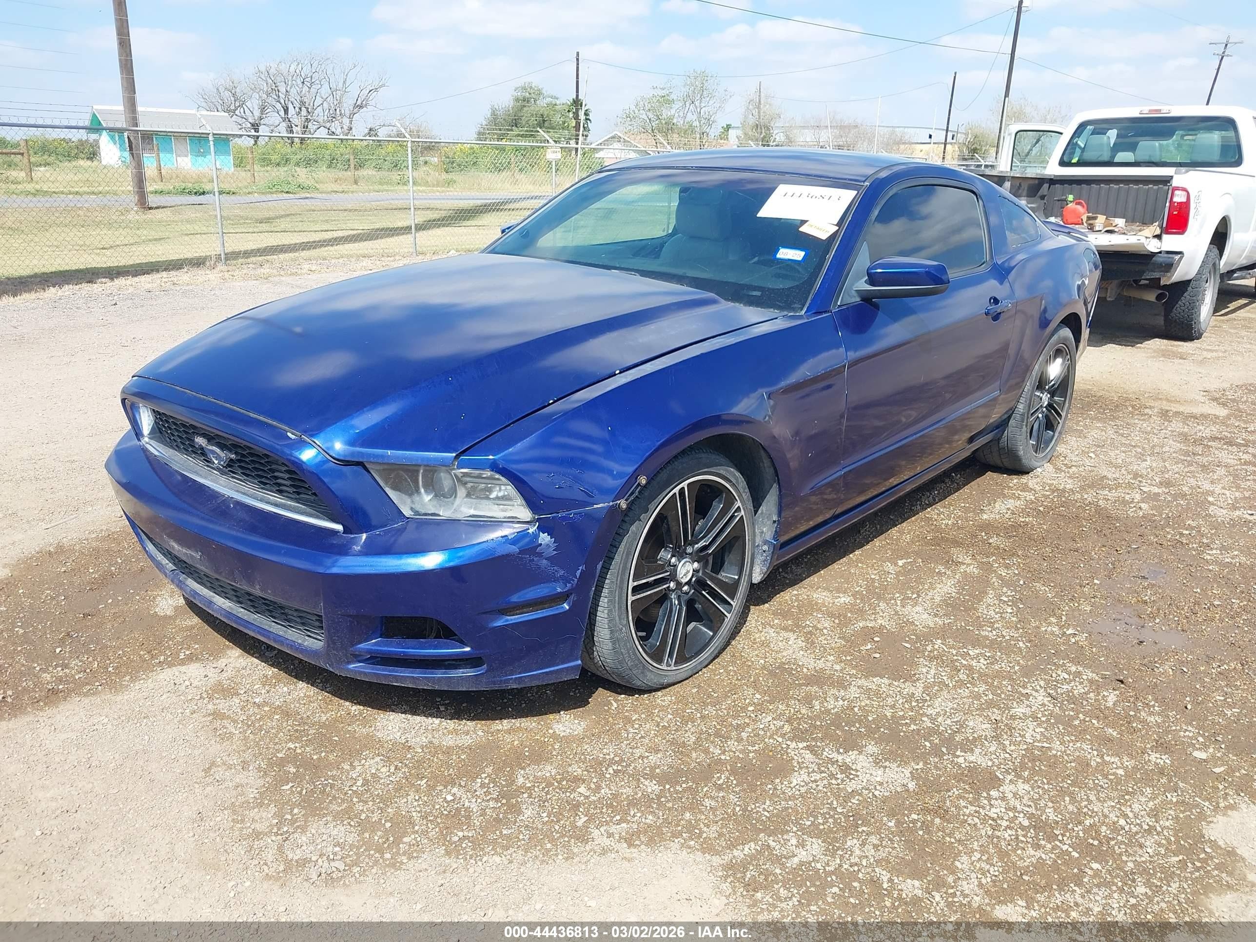 2013 Ford Mustang V6 Premium Blue vin: 1ZVBP8AM9D5230033
