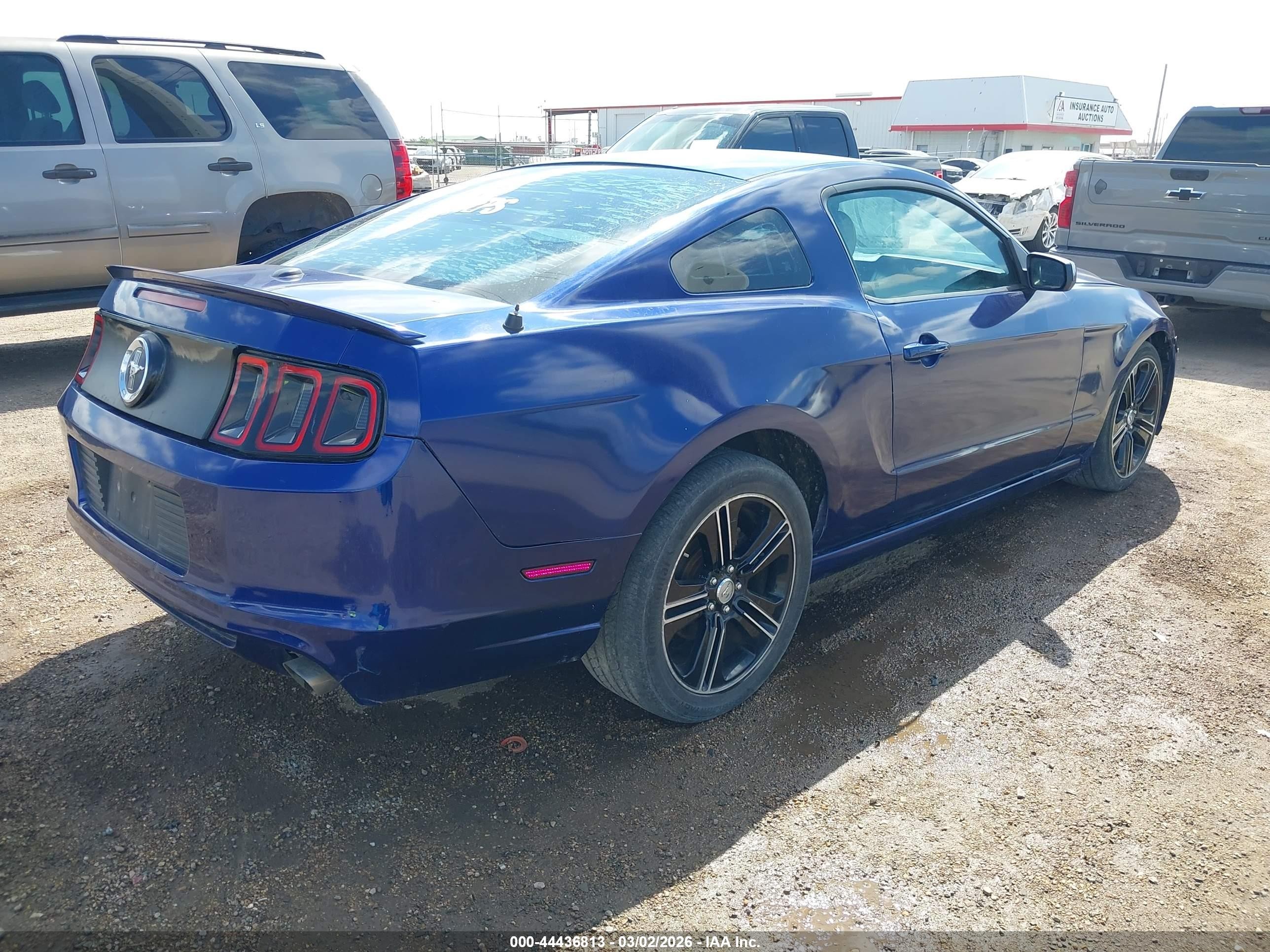 2013 Ford Mustang V6 Premium Blue vin: 1ZVBP8AM9D5230033