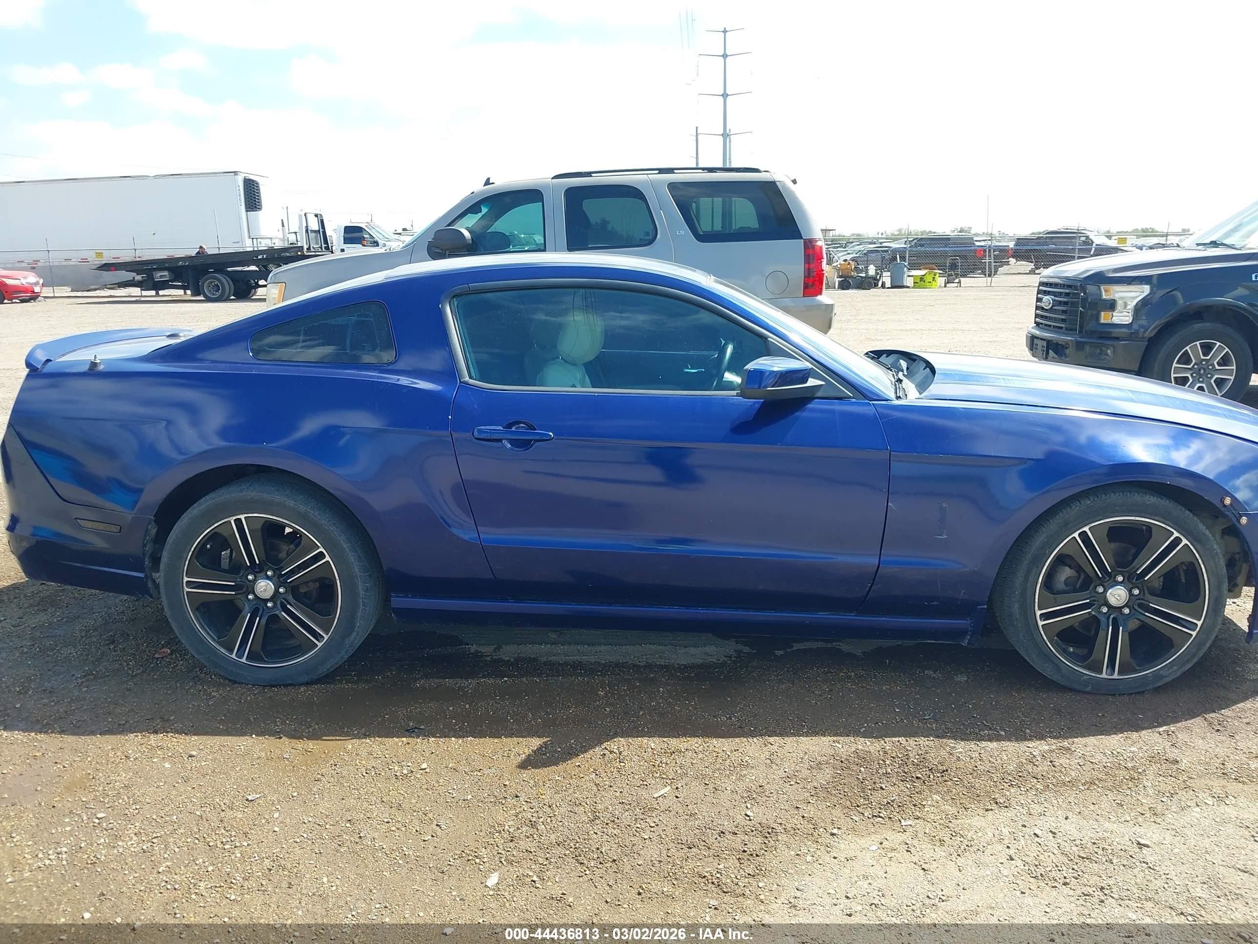 2013 Ford Mustang V6 Premium Blue vin: 1ZVBP8AM9D5230033