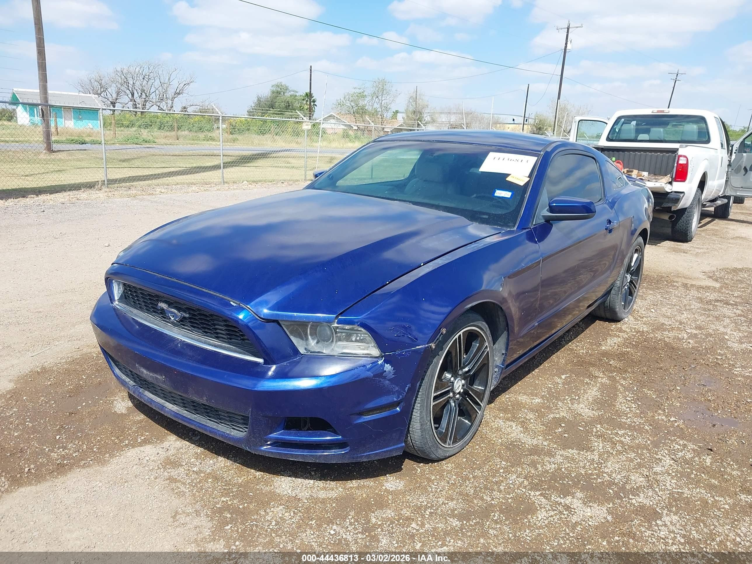 2013 Ford Mustang V6 Premium Blue vin: 1ZVBP8AM9D5230033