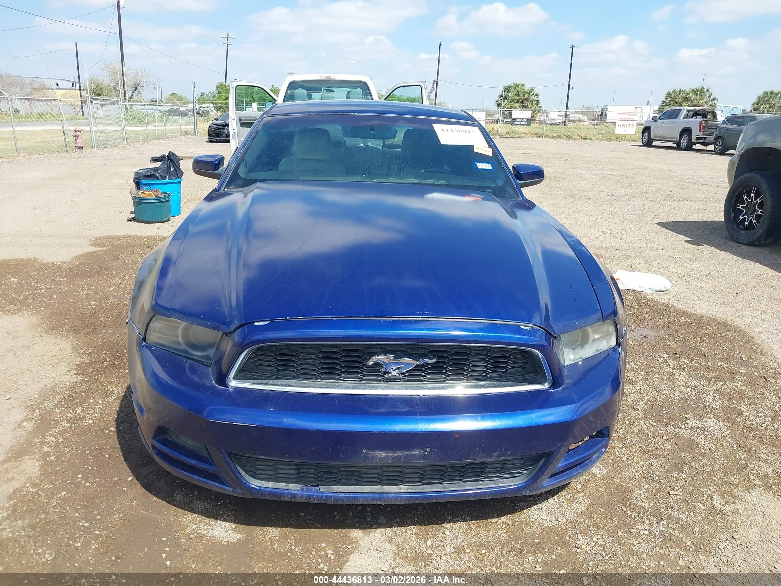2013 Ford Mustang V6 Premium Blue vin: 1ZVBP8AM9D5230033