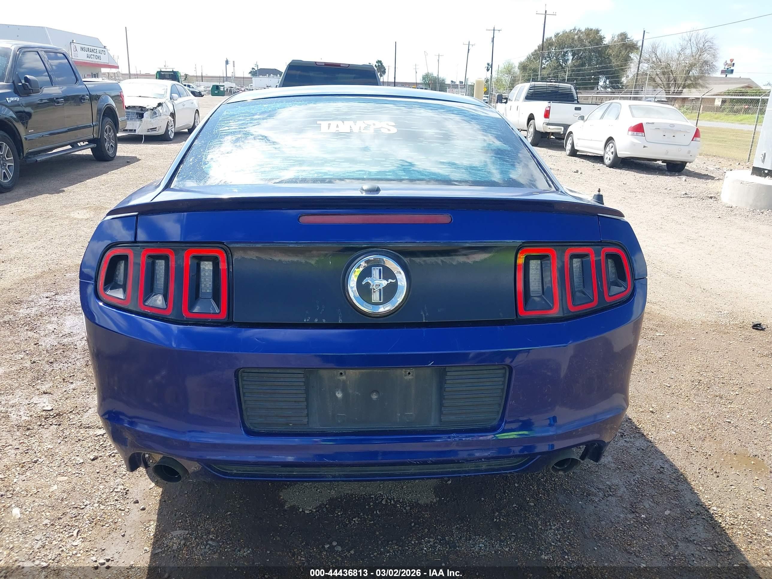 2013 Ford Mustang V6 Premium Blue vin: 1ZVBP8AM9D5230033