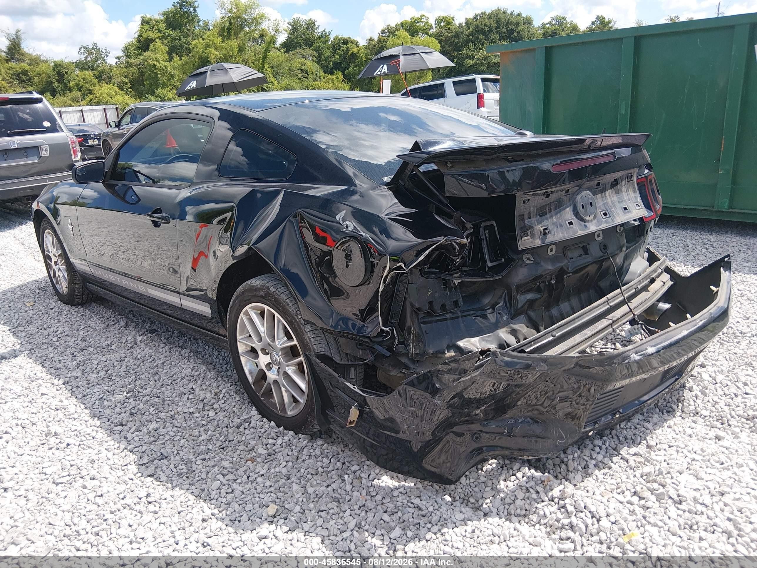 2013 Ford Mustang V6 Premium Black vin: 1ZVBP8AM9D5249472