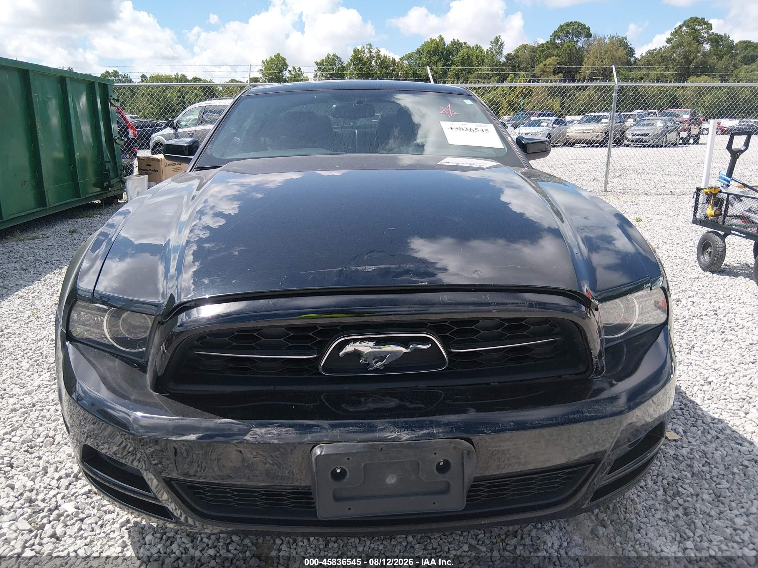 2013 Ford Mustang V6 Premium Black vin: 1ZVBP8AM9D5249472