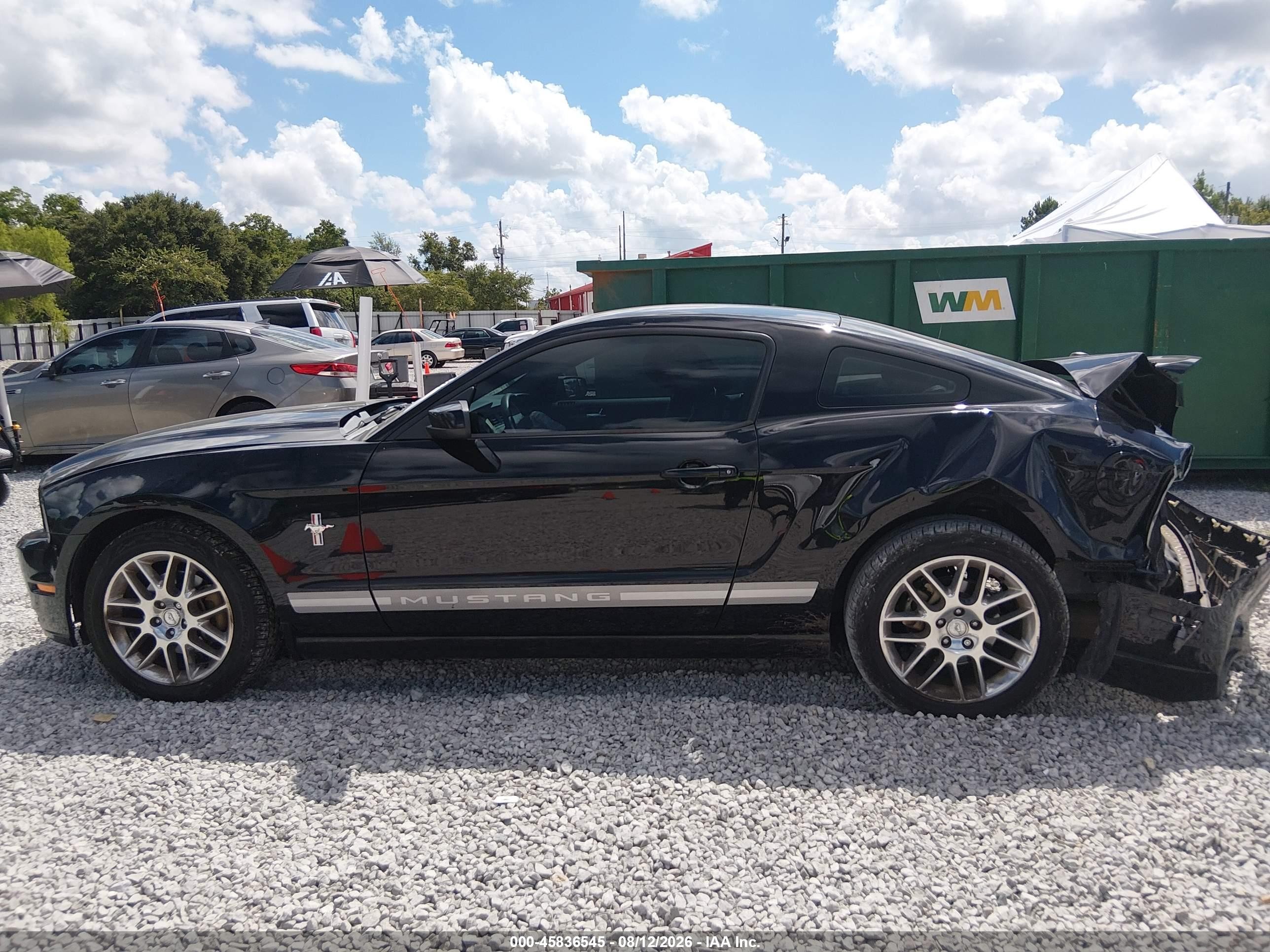 2013 Ford Mustang V6 Premium Black vin: 1ZVBP8AM9D5249472