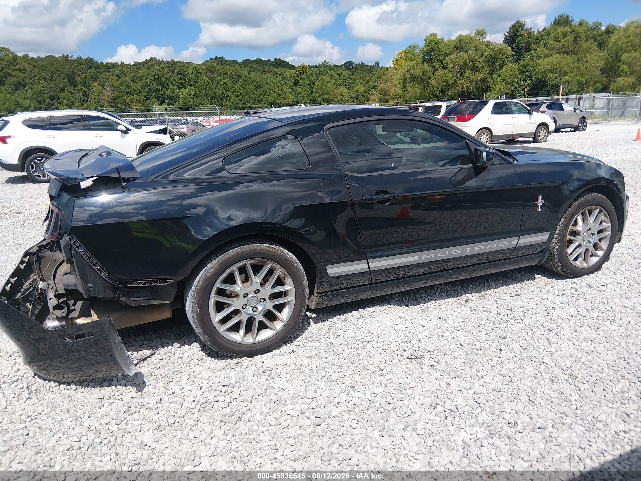 2013 Ford Mustang V6 Premium Black vin: 1ZVBP8AM9D5249472
