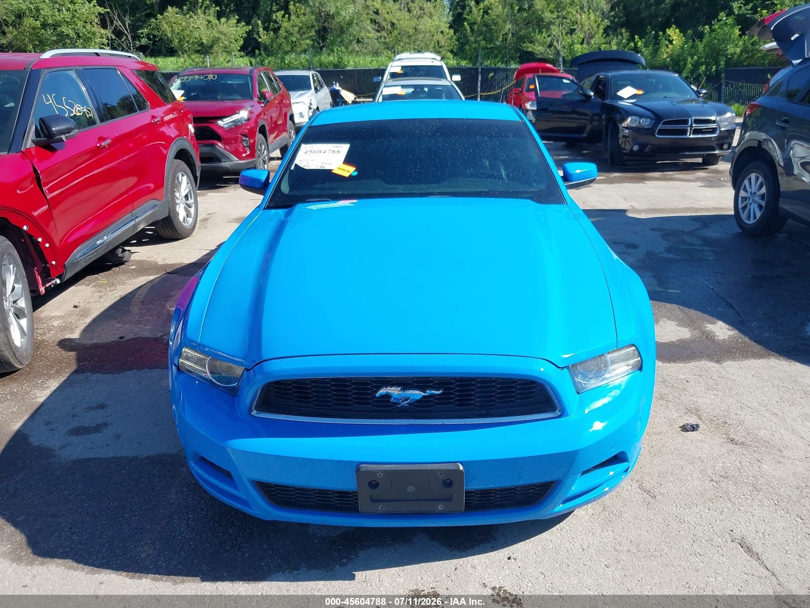 2013 Ford Mustang V6 Premium Blue vin: 1ZVBP8AM9D5257832