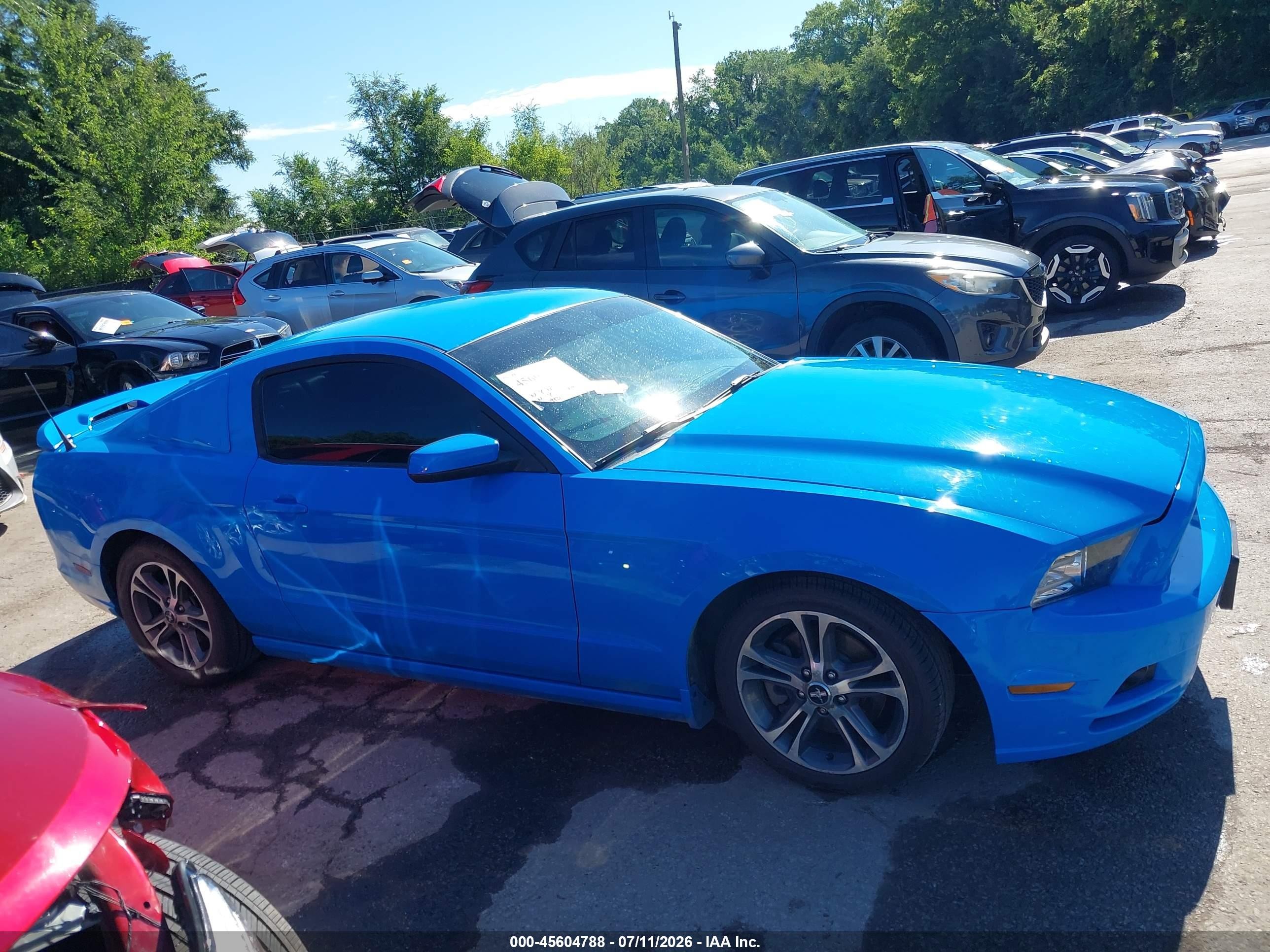 2013 Ford Mustang V6 Premium Blue vin: 1ZVBP8AM9D5257832
