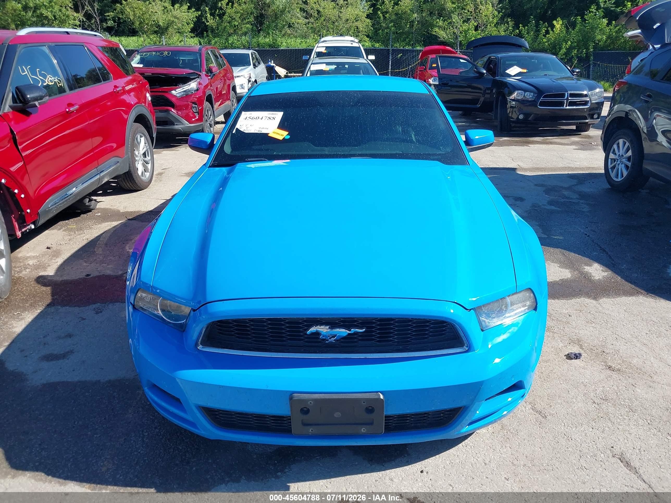 2013 Ford Mustang V6 Premium Blue vin: 1ZVBP8AM9D5257832