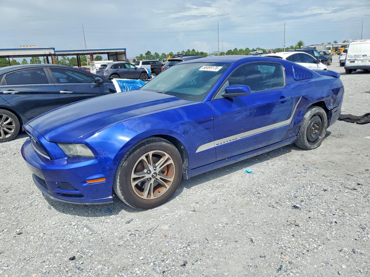 2013 Ford Mustang Blue vin: 1ZVBP8AM9D5265347