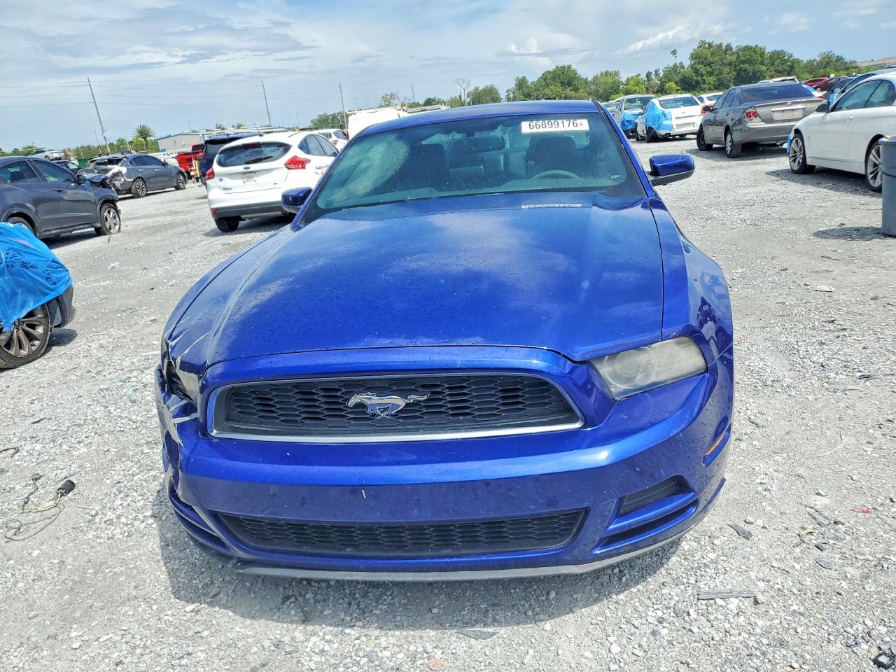 2013 Ford Mustang Blue vin: 1ZVBP8AM9D5265347