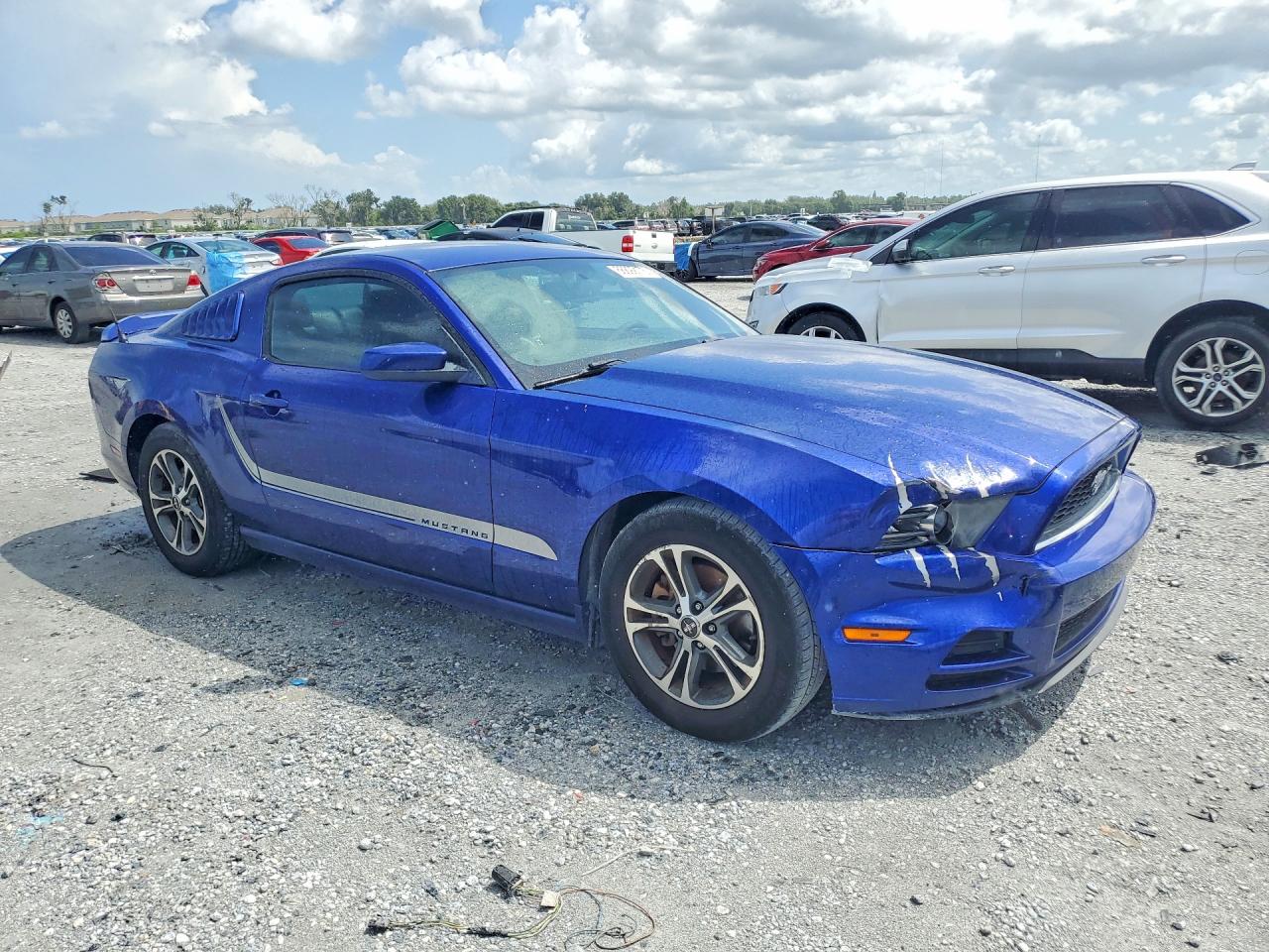 2013 Ford Mustang Blue vin: 1ZVBP8AM9D5265347