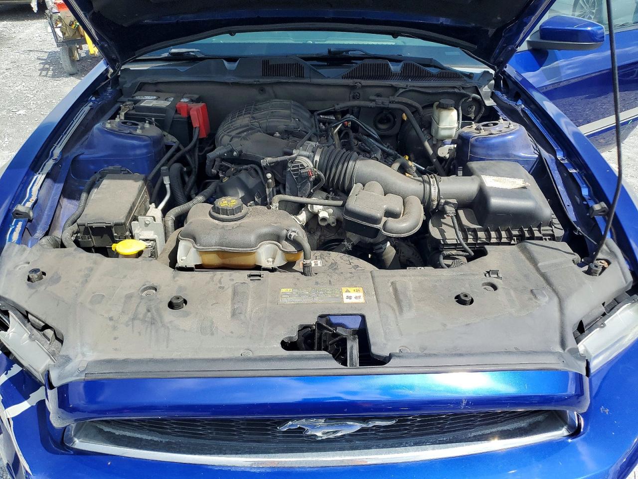 2013 Ford Mustang Blue vin: 1ZVBP8AM9D5265347