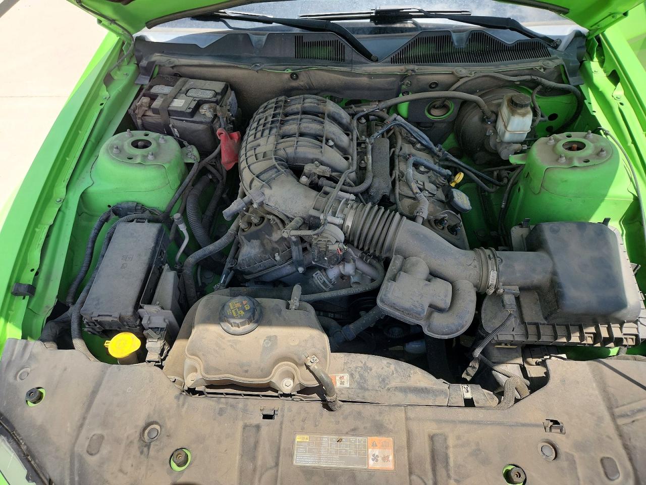 2013 Ford Mustang Green vin: 1ZVBP8AM9D5274968