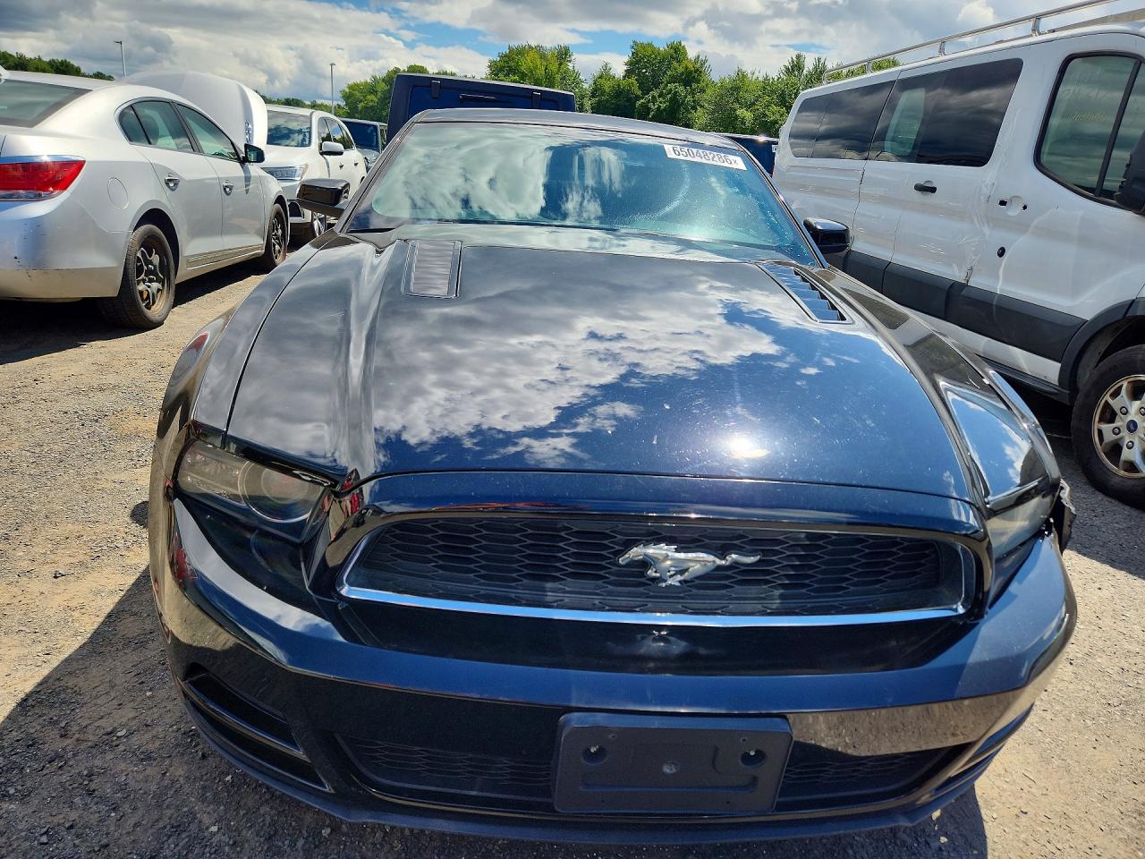 2013 Ford Mustang Black vin: 1ZVBP8AM9D5277577