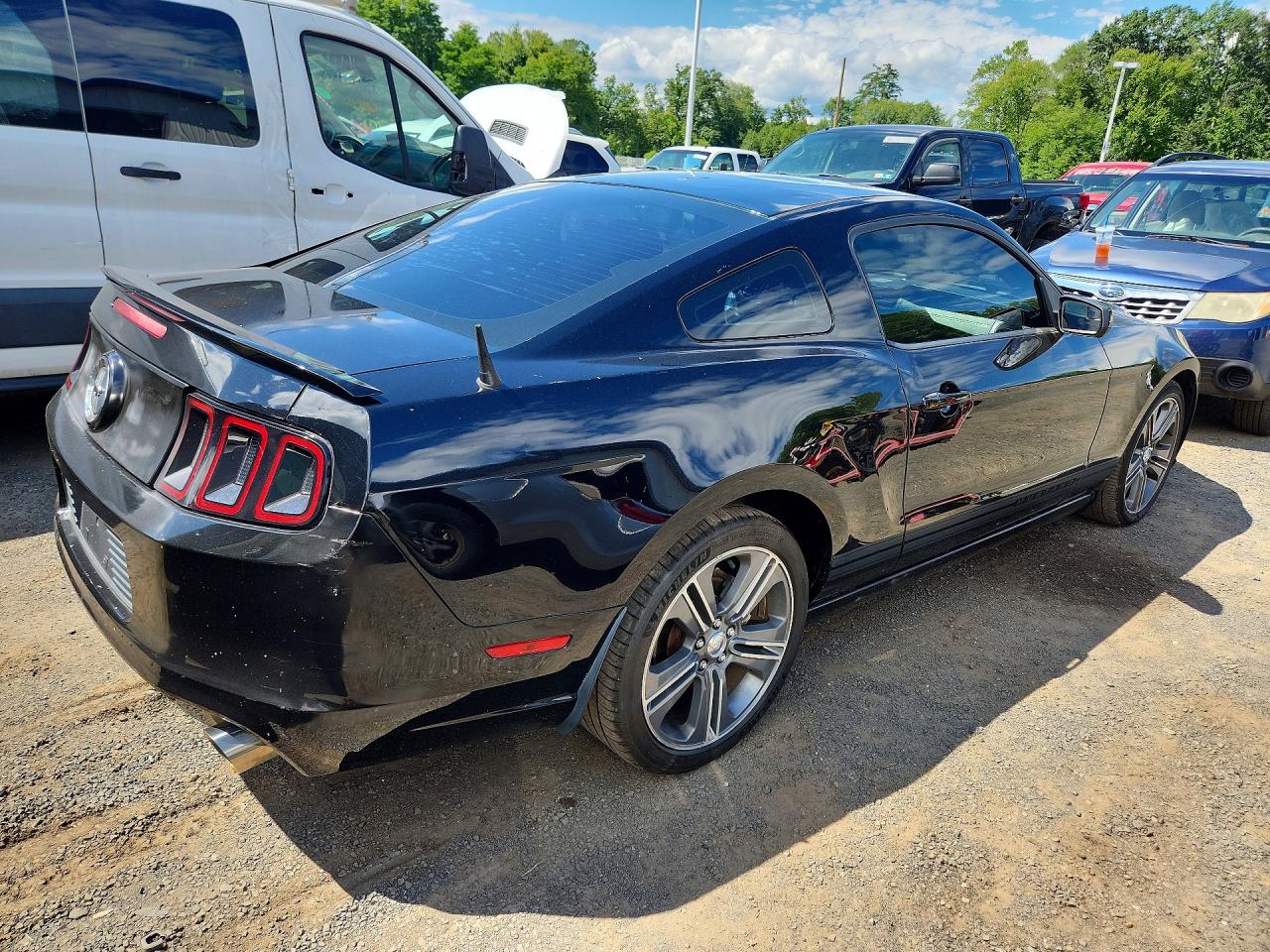 2013 Ford Mustang Black vin: 1ZVBP8AM9D5277577