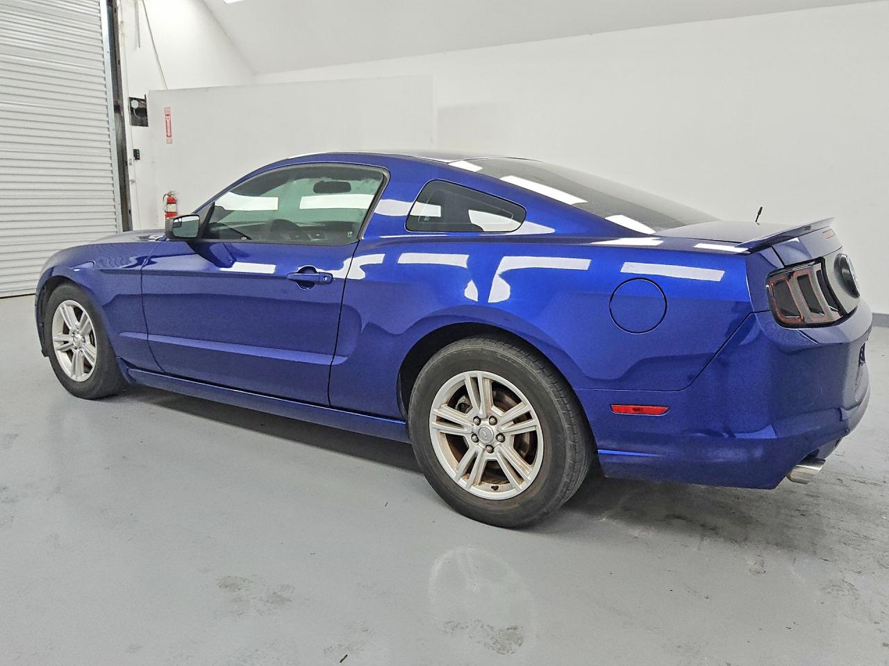 2013 Ford Mustang Blue vin: 1ZVBP8AM9D5281824