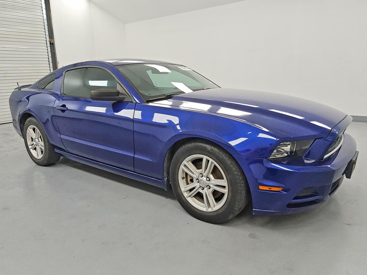 2013 Ford Mustang Blue vin: 1ZVBP8AM9D5281824