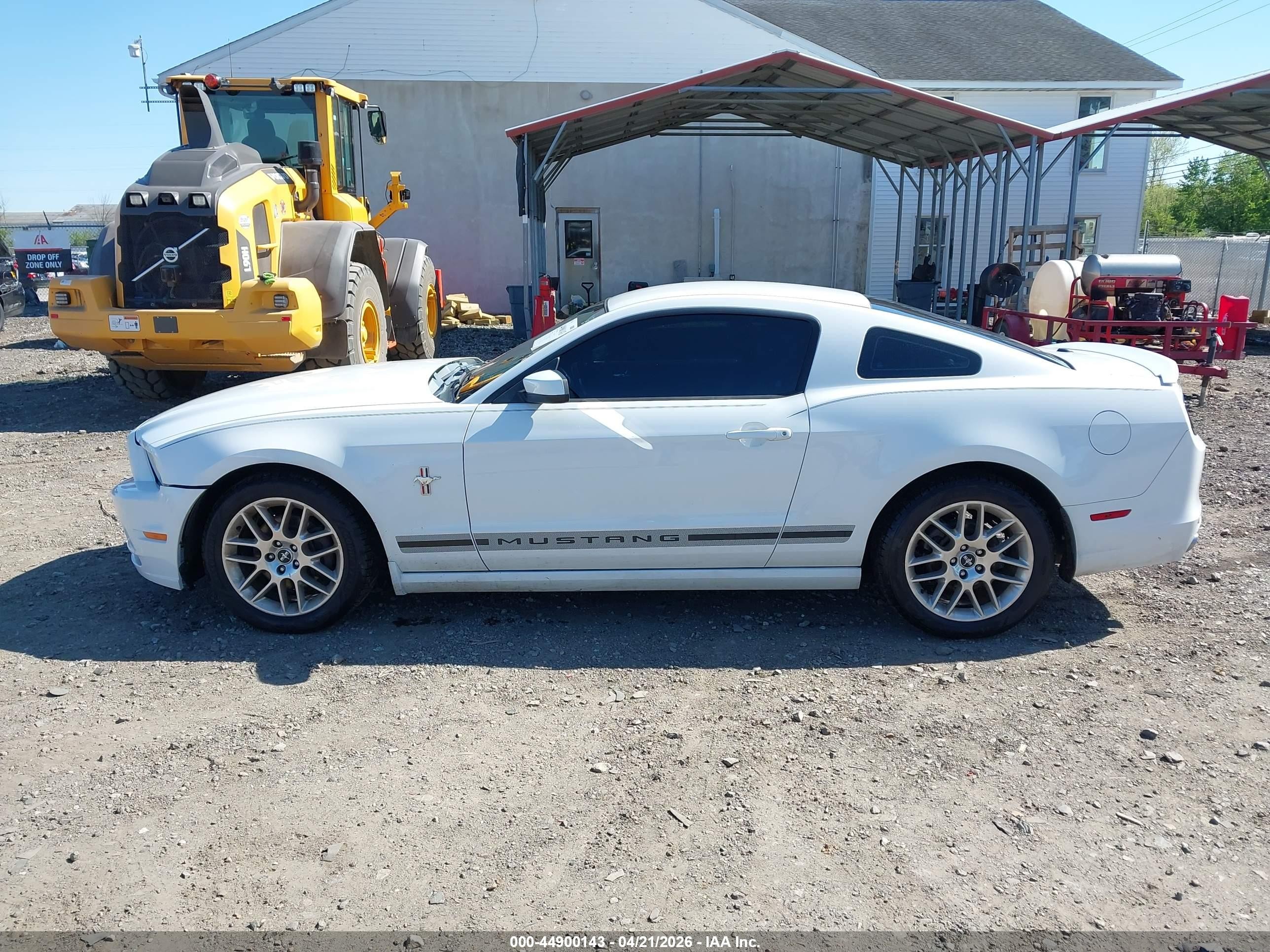 2014 Ford Mustang V6 Premium White vin: 1ZVBP8AM9E5200192