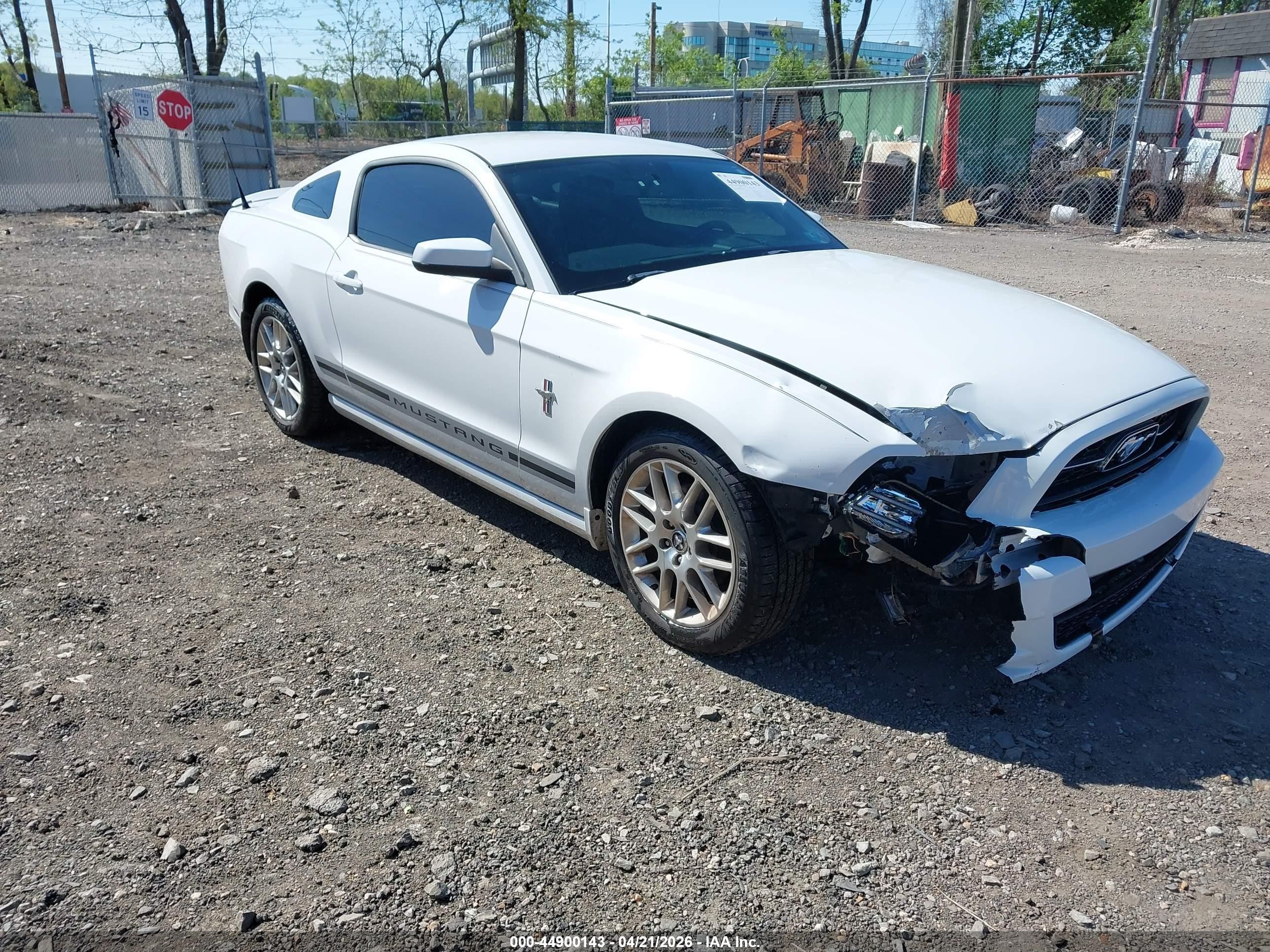 2014 Ford Mustang V6 Premium White vin: 1ZVBP8AM9E5200192