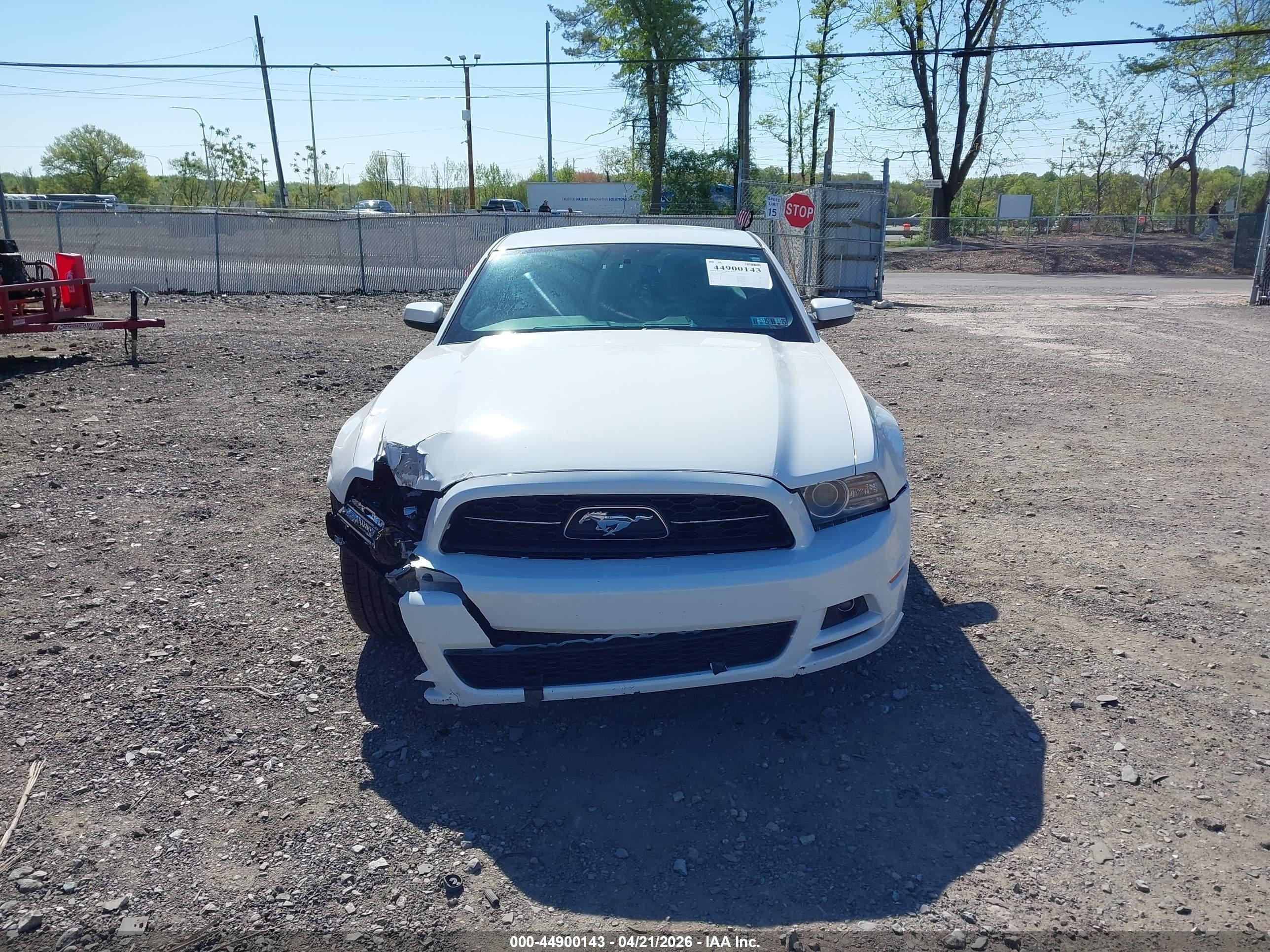 2014 Ford Mustang V6 Premium White vin: 1ZVBP8AM9E5200192