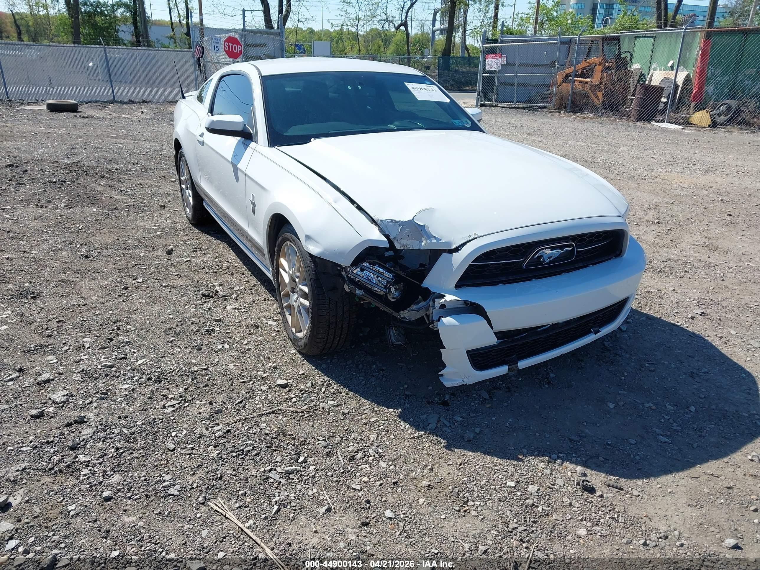 2014 Ford Mustang V6 Premium White vin: 1ZVBP8AM9E5200192