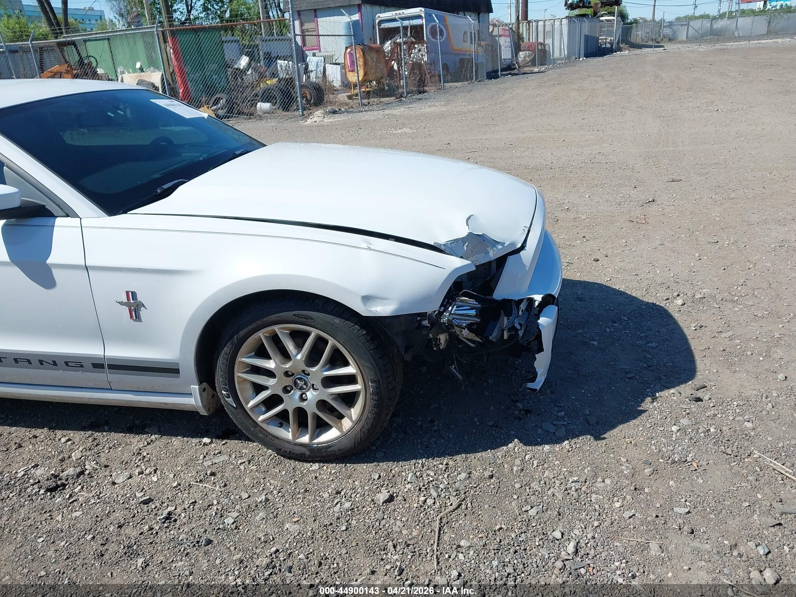 2014 Ford Mustang V6 Premium White vin: 1ZVBP8AM9E5200192