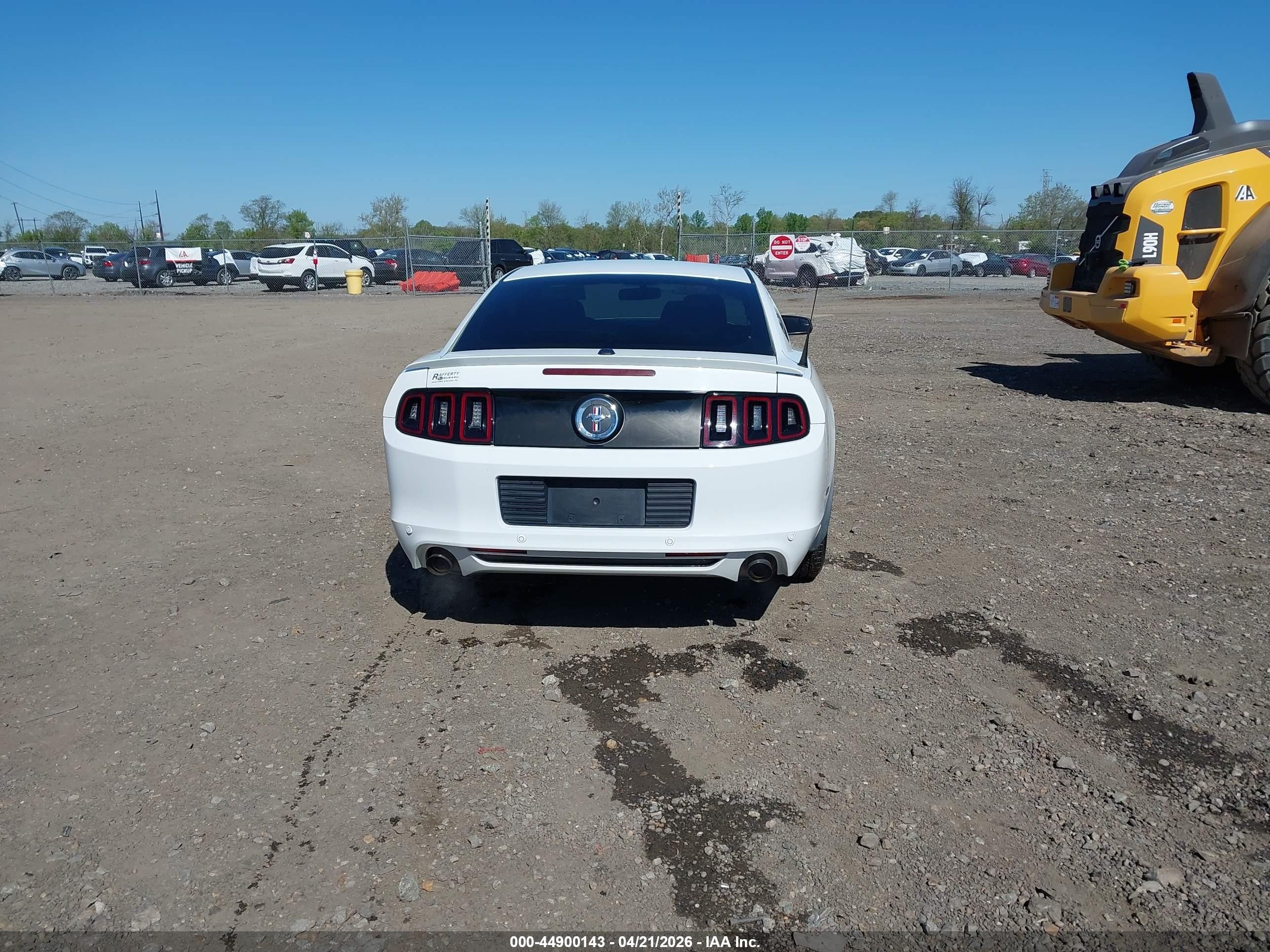 2014 Ford Mustang V6 Premium White vin: 1ZVBP8AM9E5200192