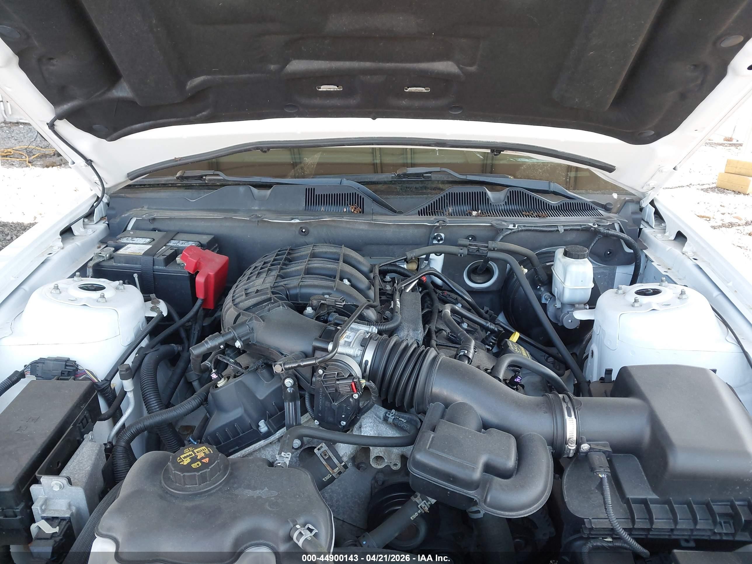 2014 Ford Mustang V6 Premium White vin: 1ZVBP8AM9E5200192