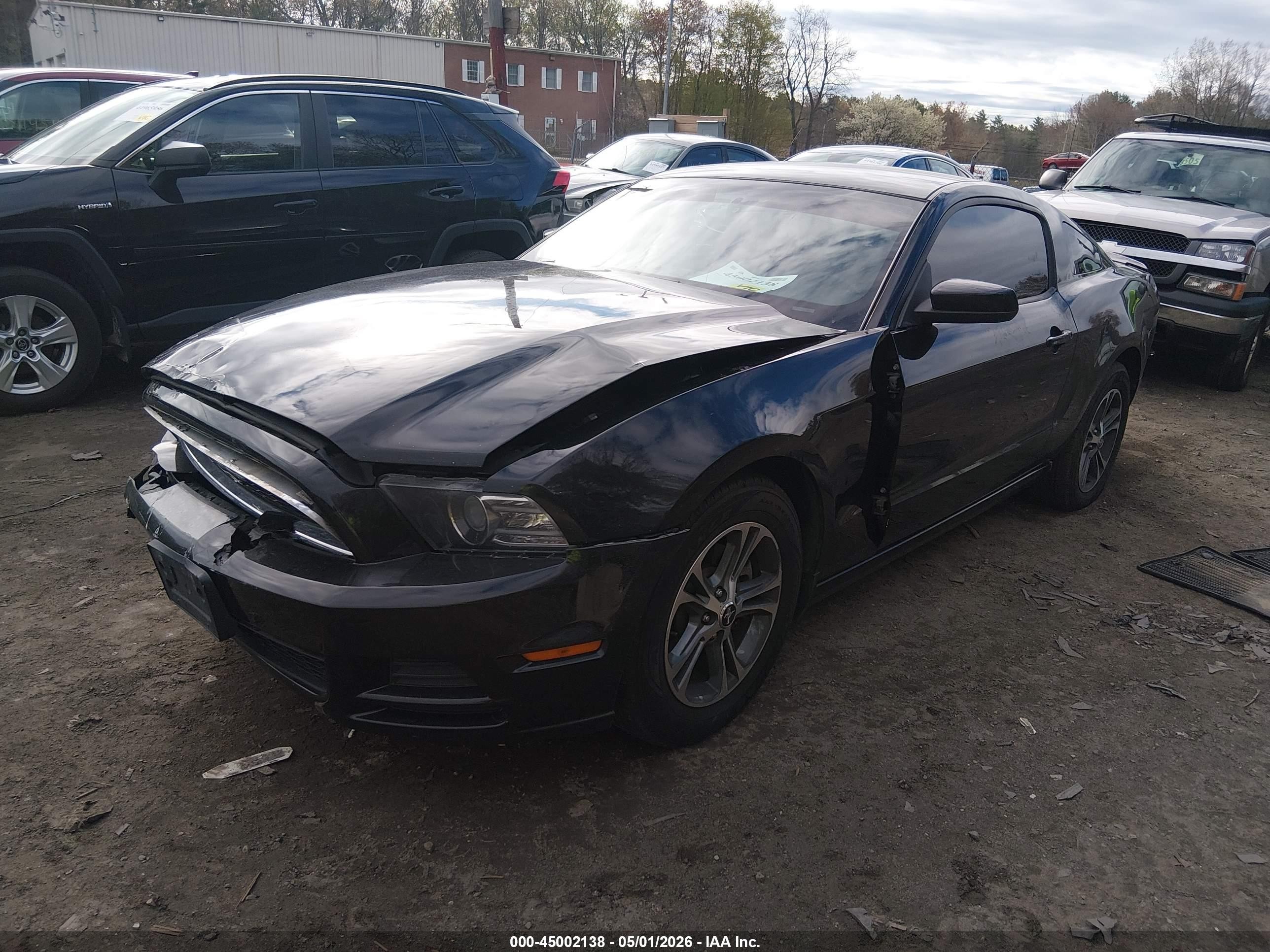 2014 Ford Mustang V6 Premium Black vin: 1ZVBP8AM9E5202363
