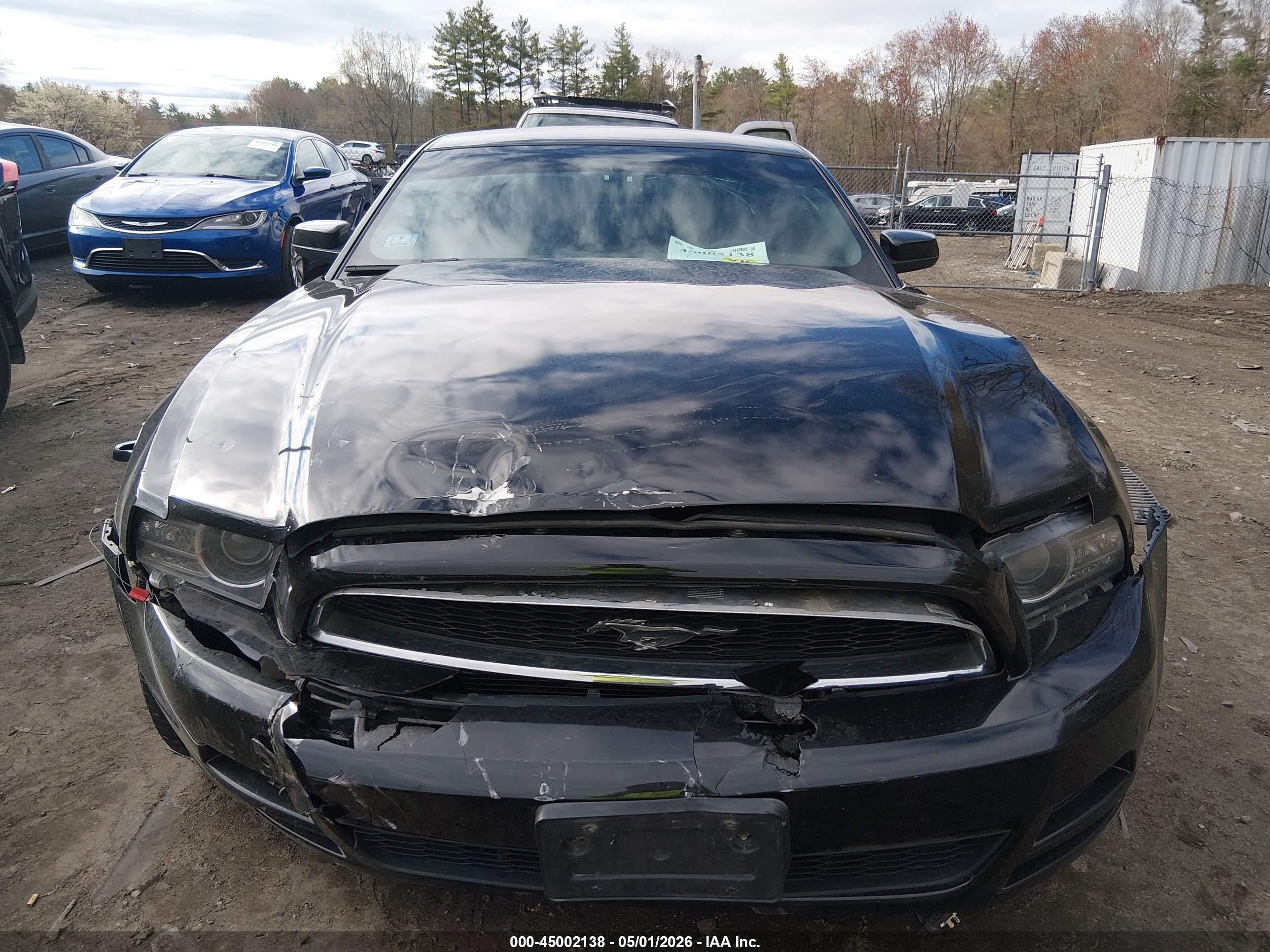 2014 Ford Mustang V6 Premium Black vin: 1ZVBP8AM9E5202363