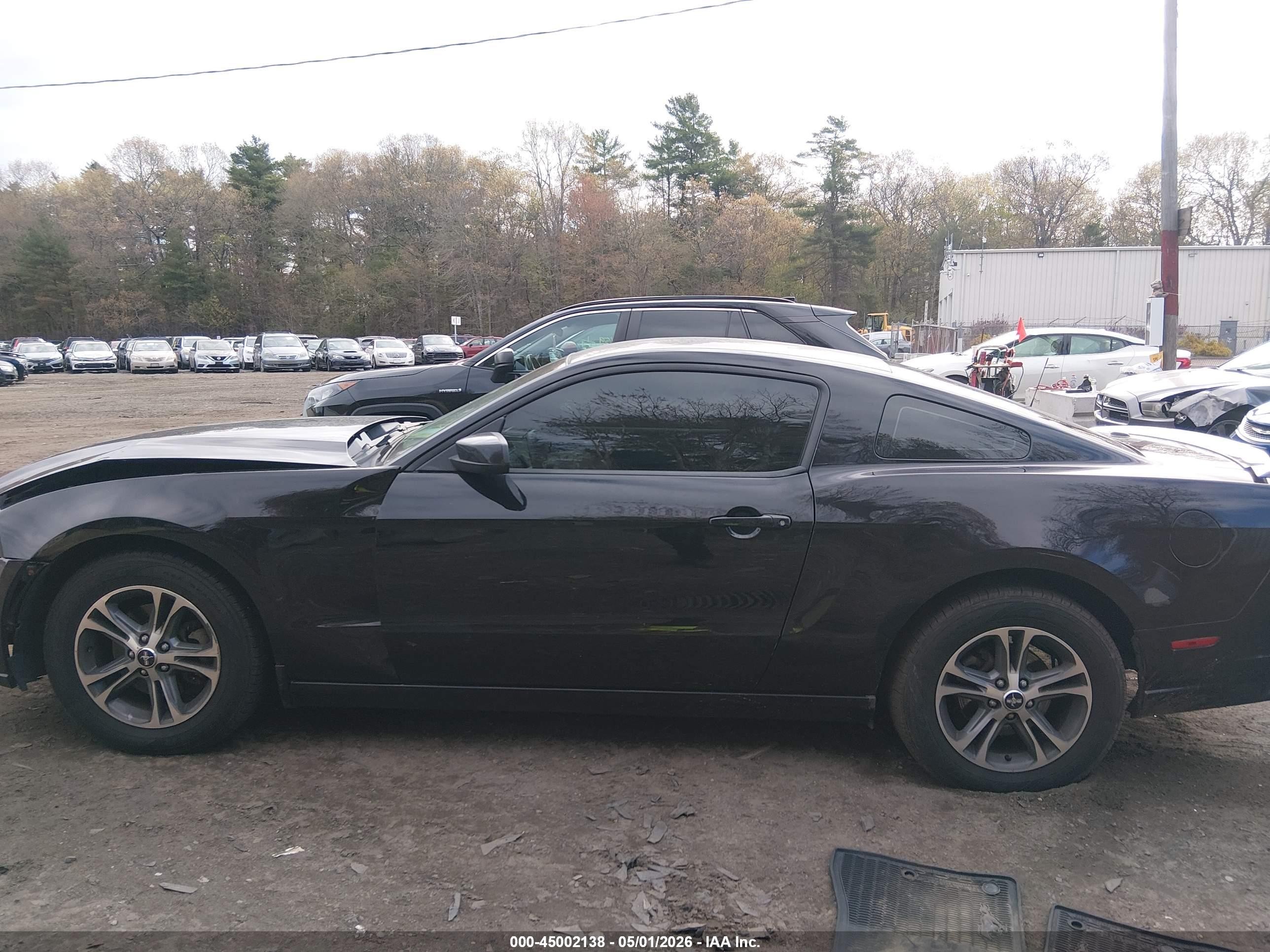 2014 Ford Mustang V6 Premium Black vin: 1ZVBP8AM9E5202363