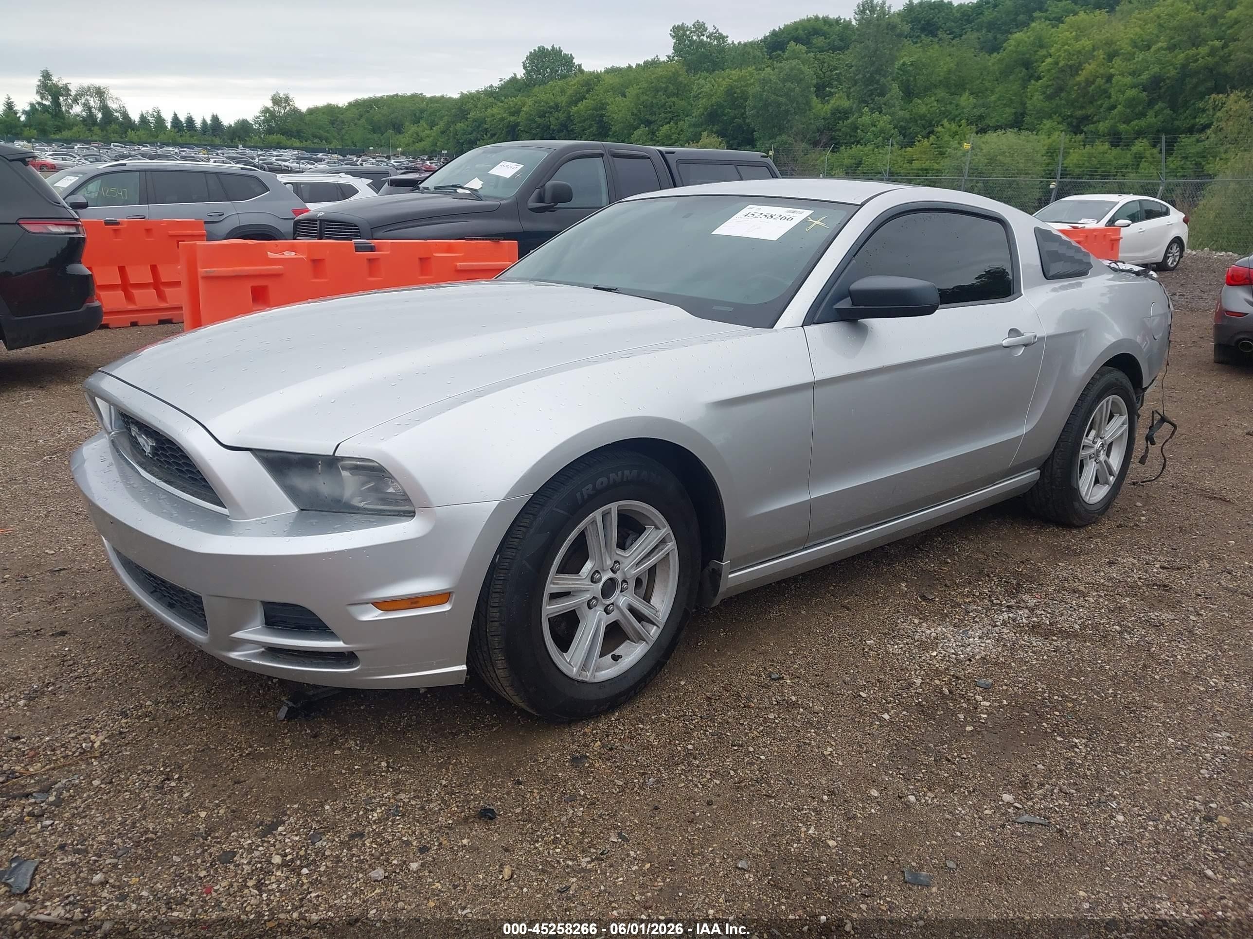 2014 Ford Mustang V6 Silver vin: 1ZVBP8AM9E5236030