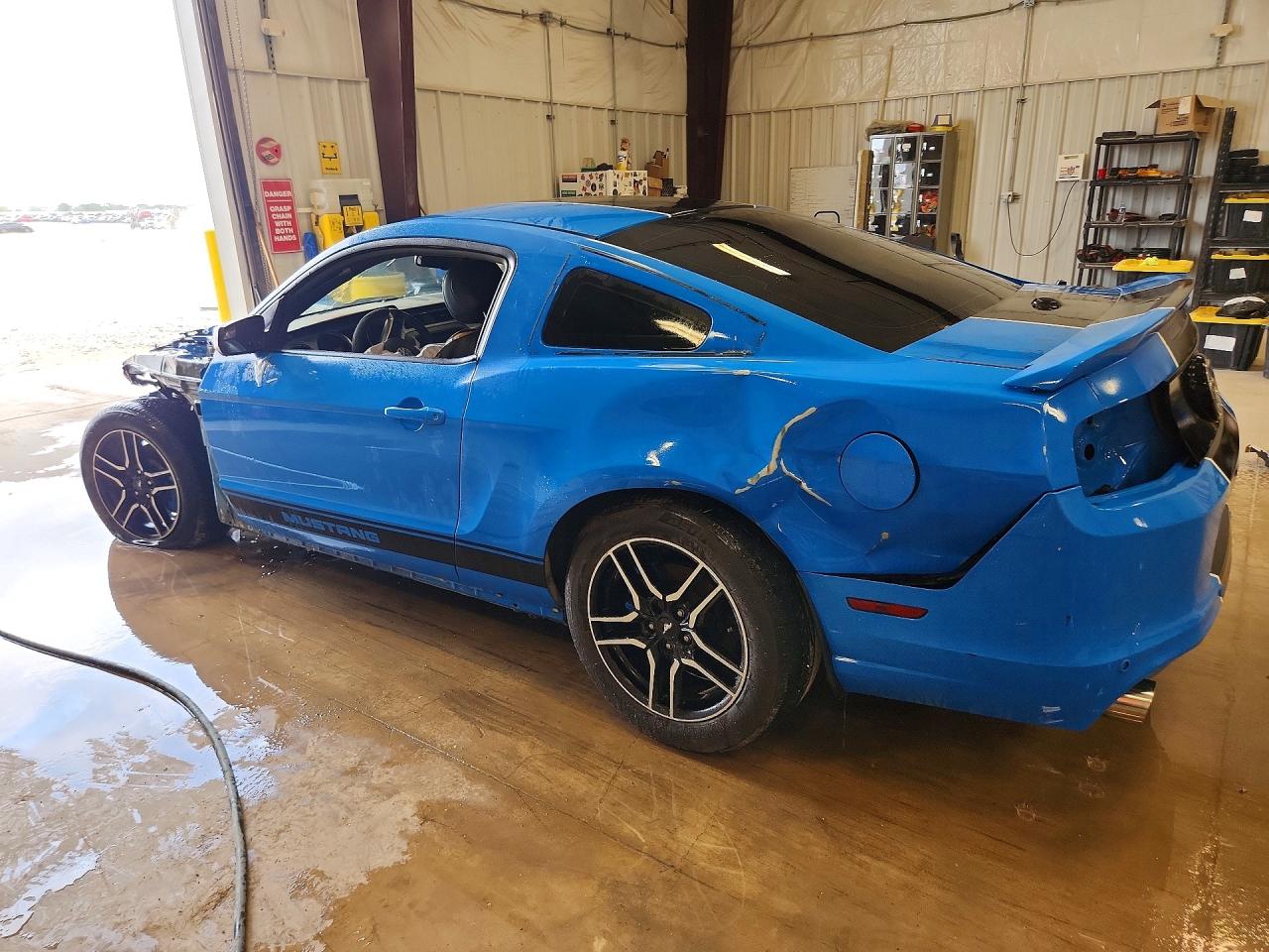 2014 Ford Mustang Blue vin: 1ZVBP8AM9E5237601
