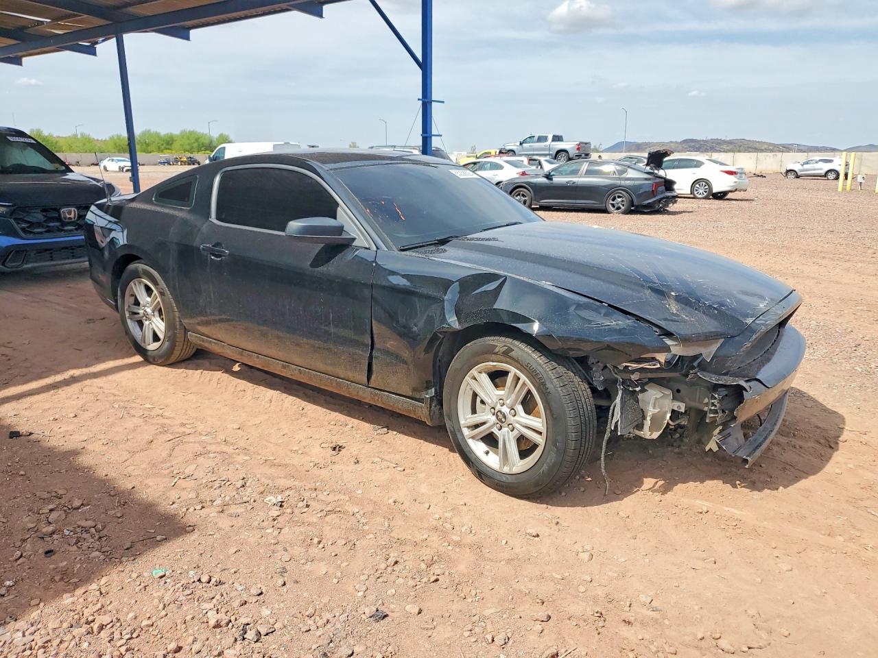 2014 Ford Mustang Black vin: 1ZVBP8AM9E5251675